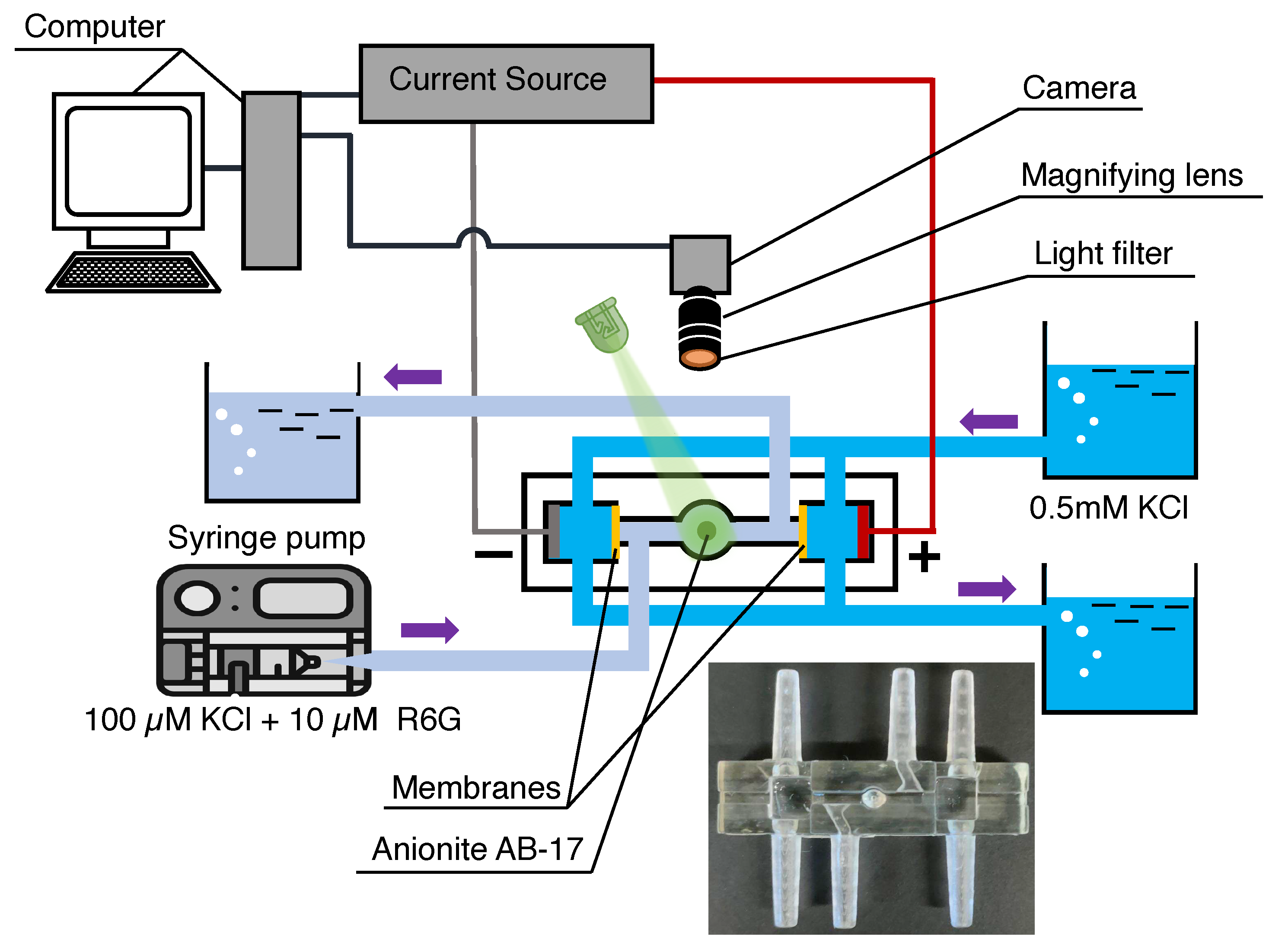 Membranes 13 00503 g003 Membranes 13 00503 g003