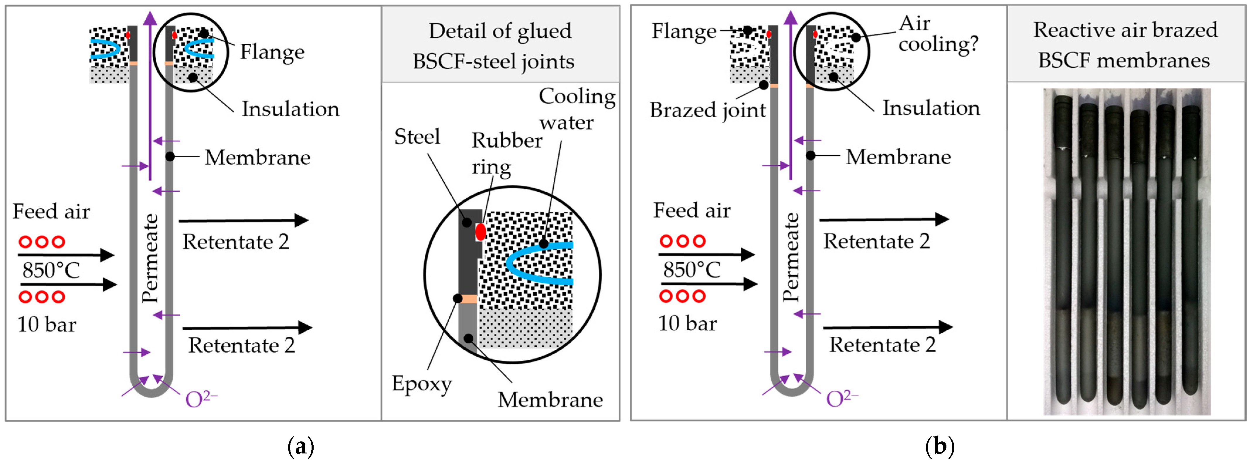 Membranes 13 00504 g001