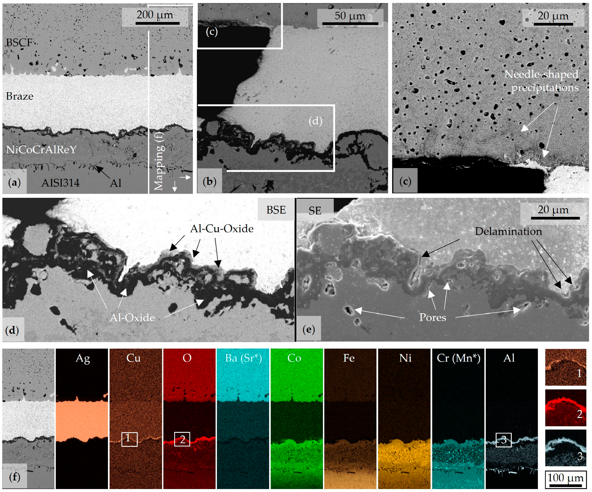Membranes 13 00504 g005