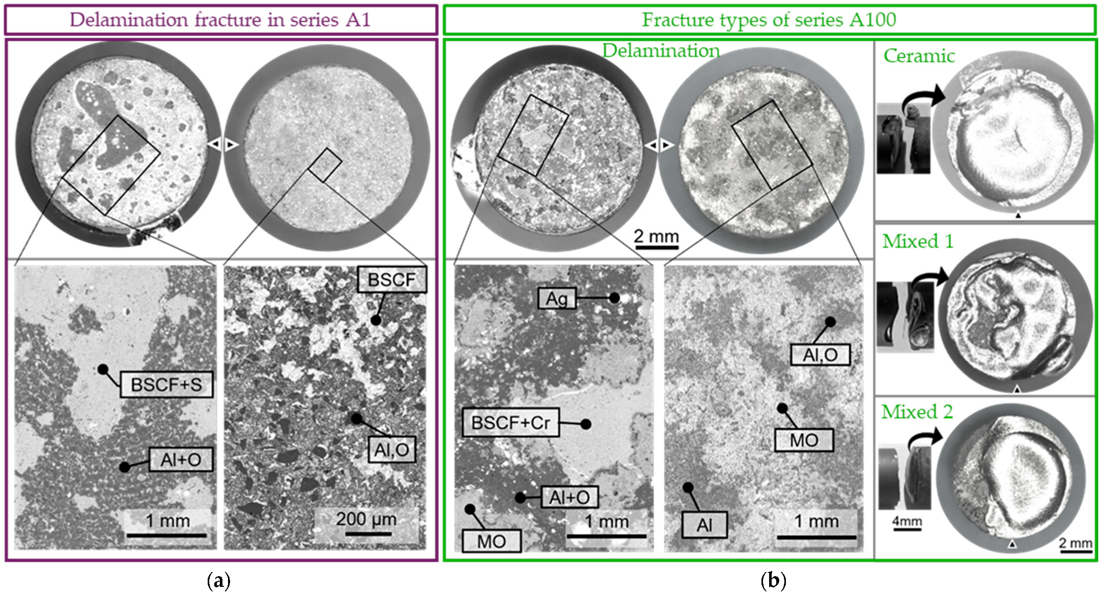 Membranes 13 00504 g009