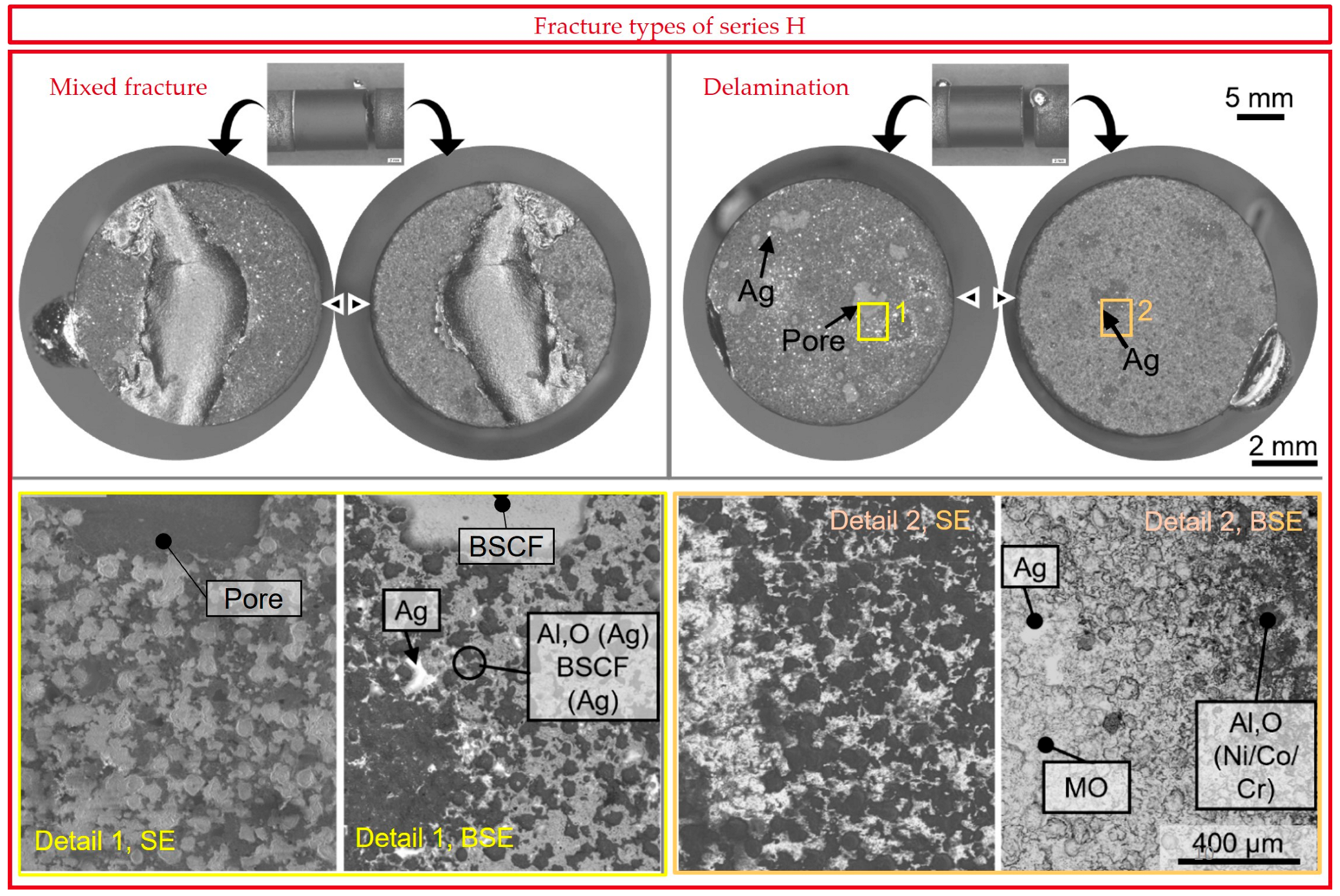 Membranes 13 00504 g010