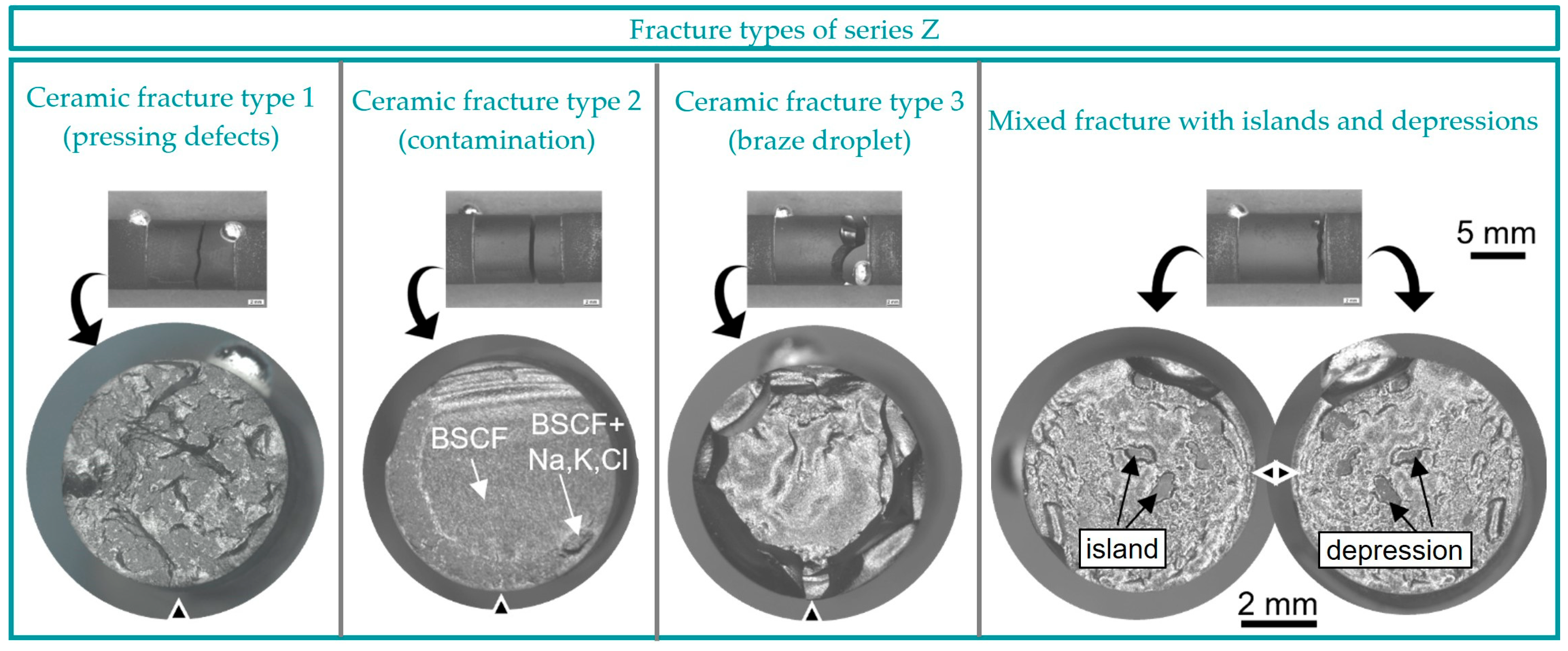Membranes 13 00504 g011