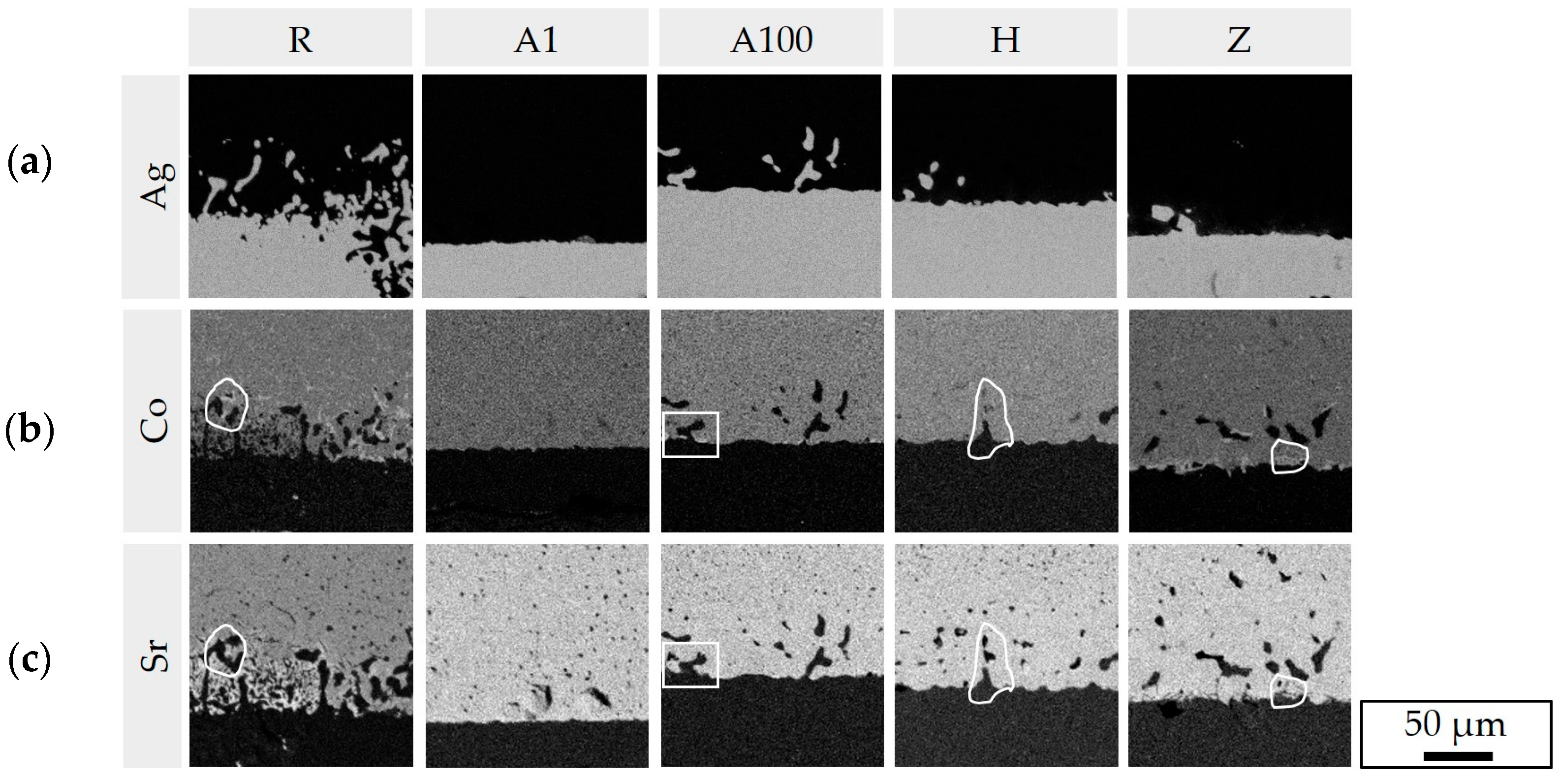 Membranes 13 00504 g012