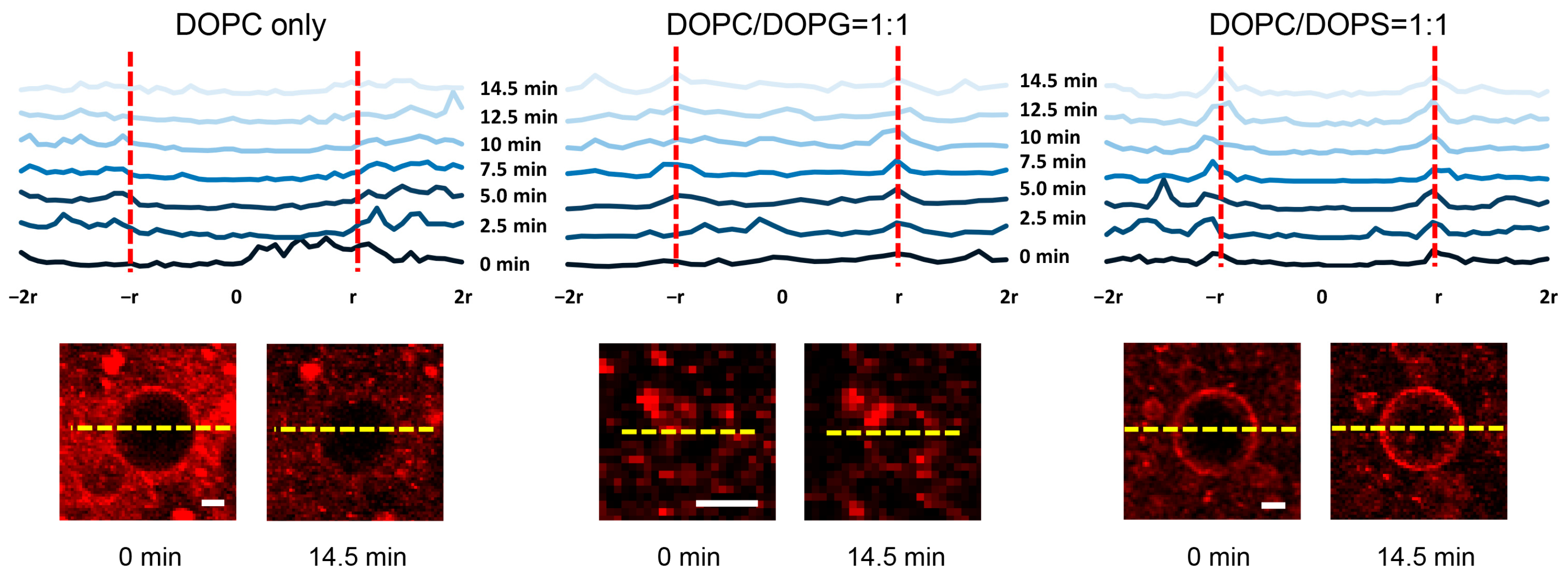 Membranes 13 00507 g005