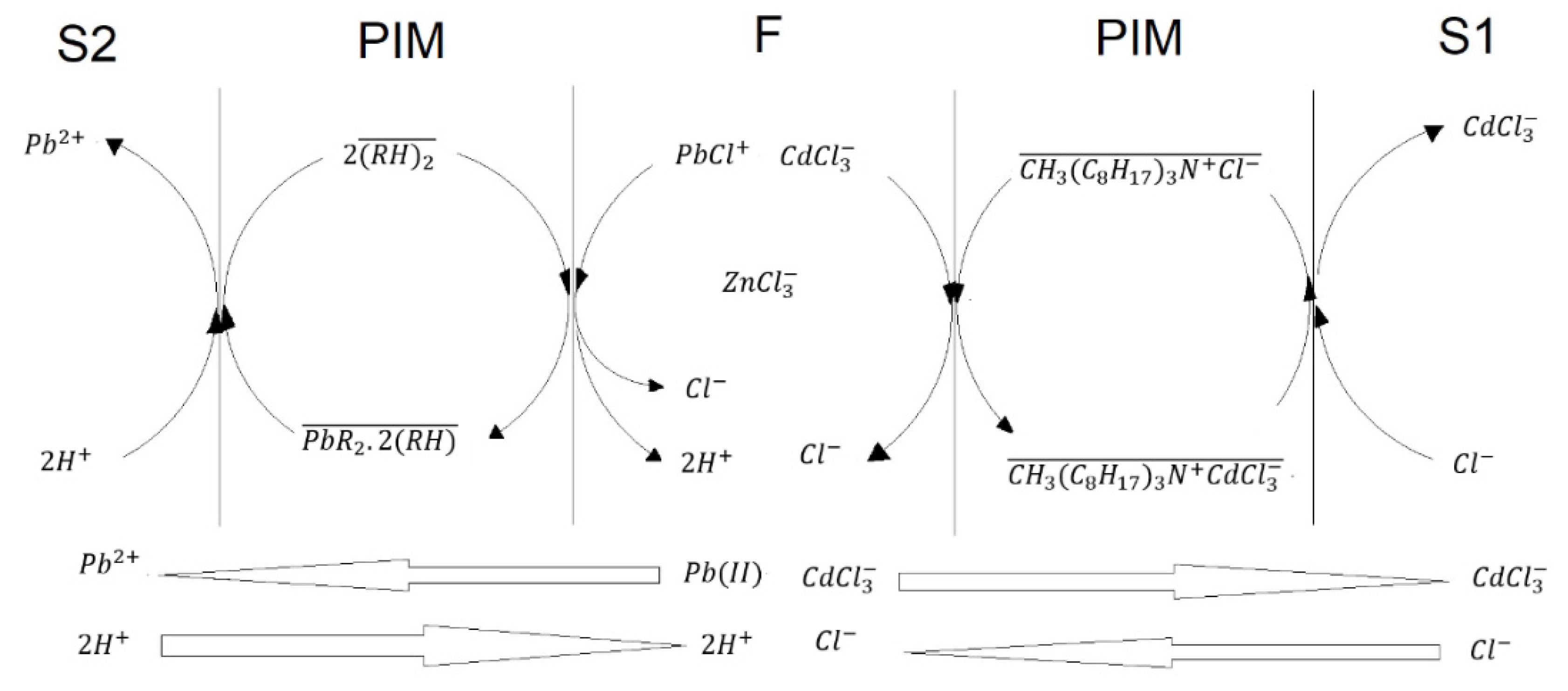 Membranes 13 00512 g008