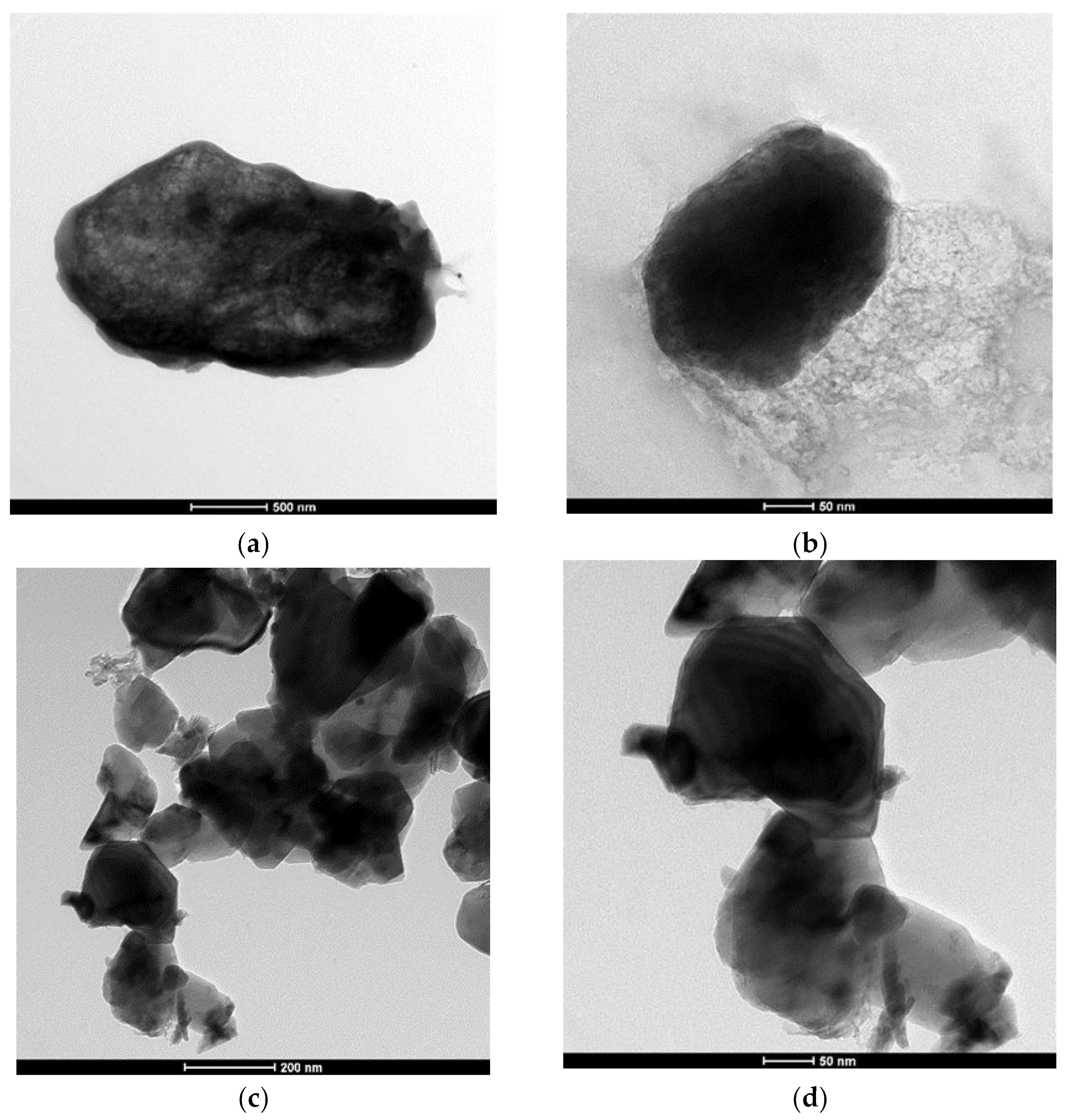Membranes 13 00513 g008 Membranes 13 00513 g008