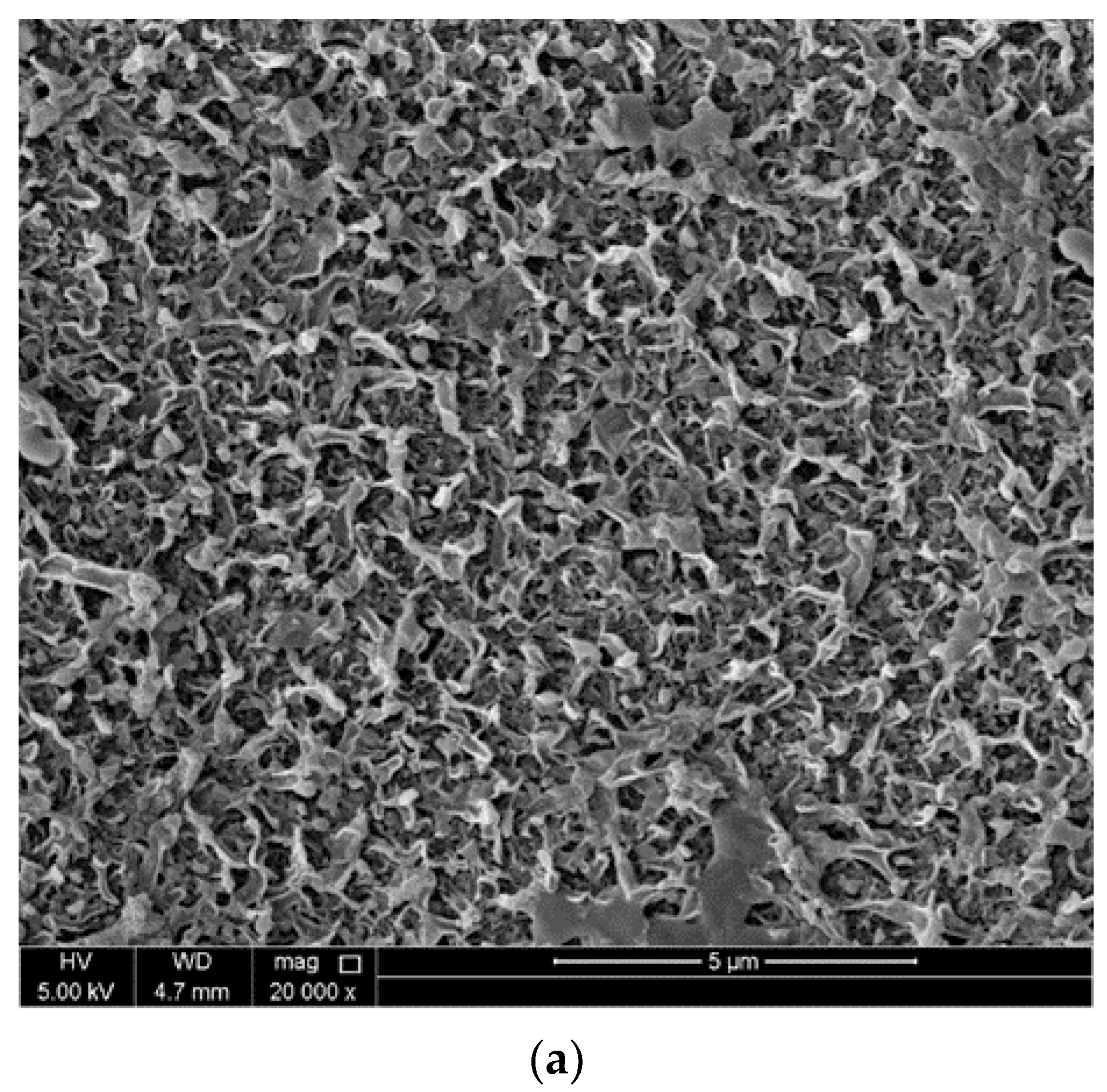 Membranes 13 00513 g011a Membranes 13 00513 g011a