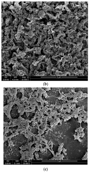 Date Palm Tree Leaf-Derived Cellulose Nanocrystal Incorporated Thin ...