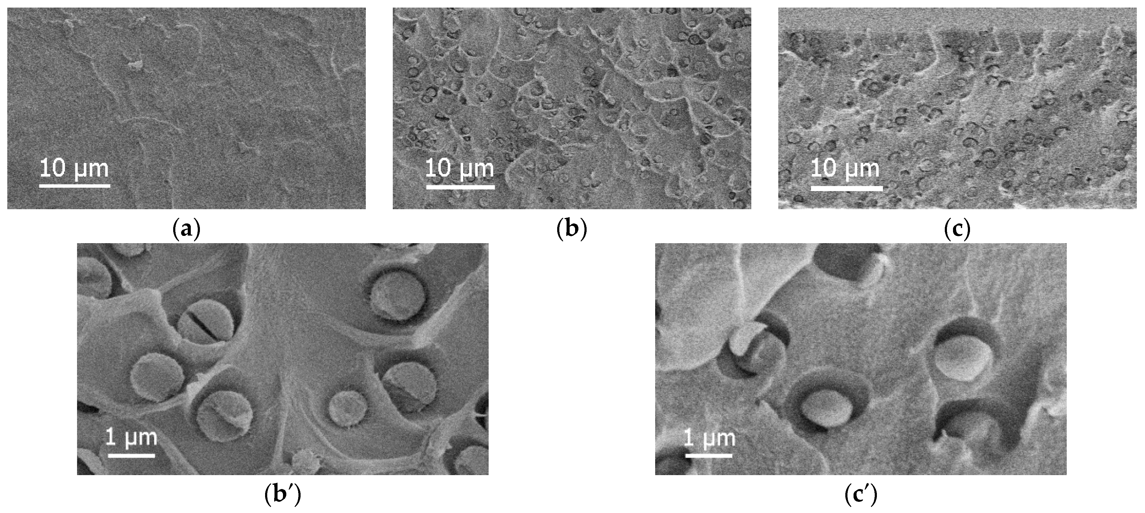 Membranes 13 00516 g004 Membranes 13 00516 g004