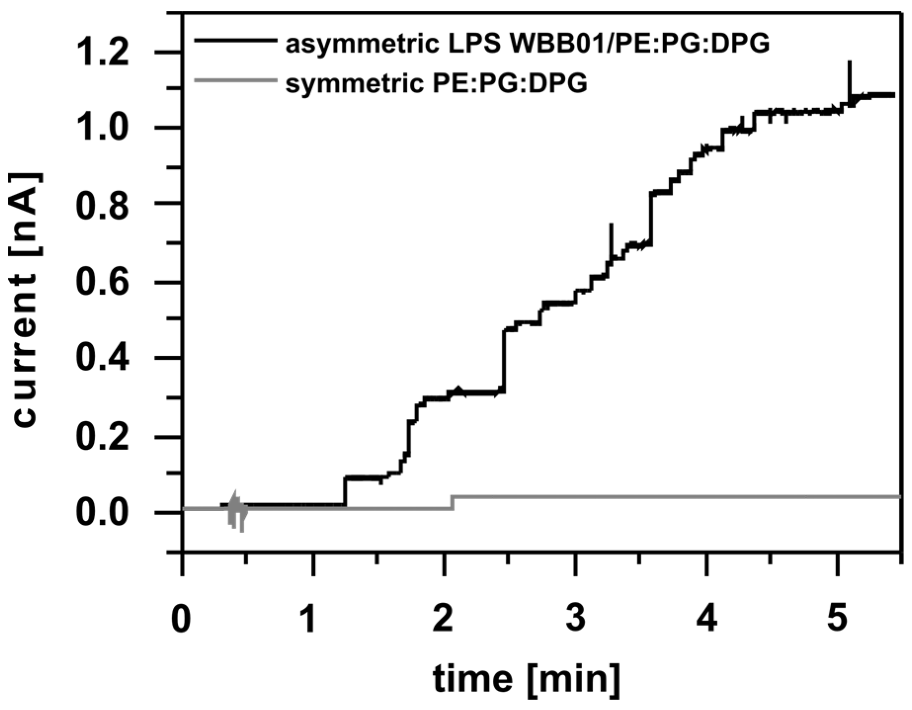 Membranes 13 00517 g001
