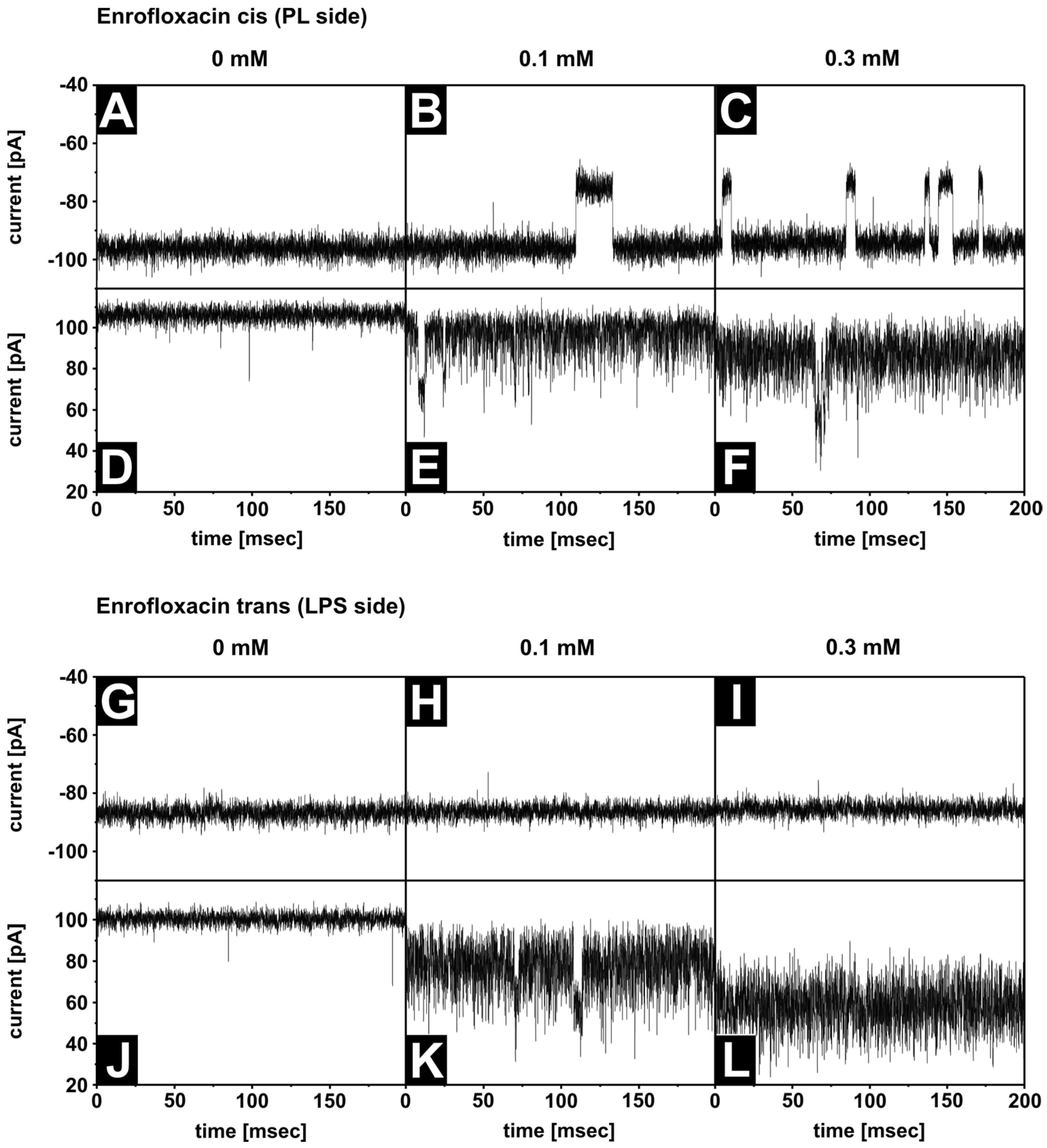 Membranes 13 00517 g005