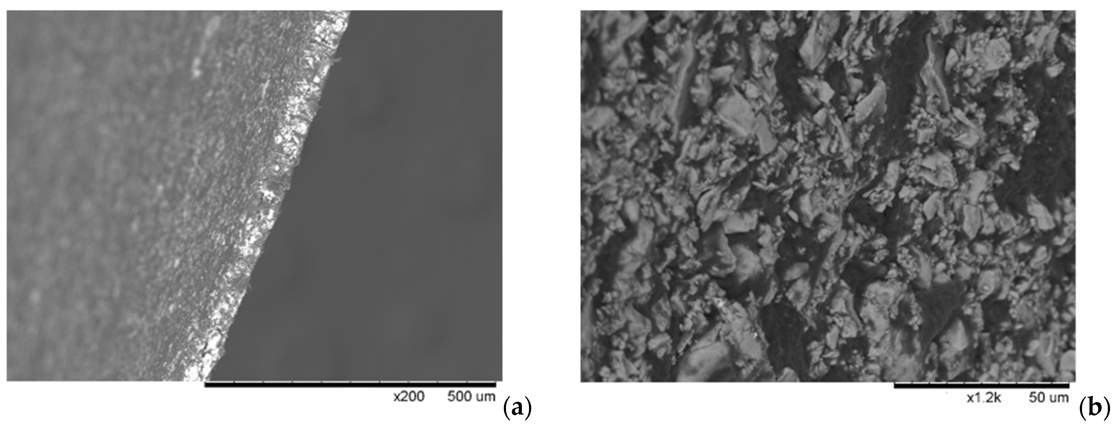 Membranes 13 00520 g003