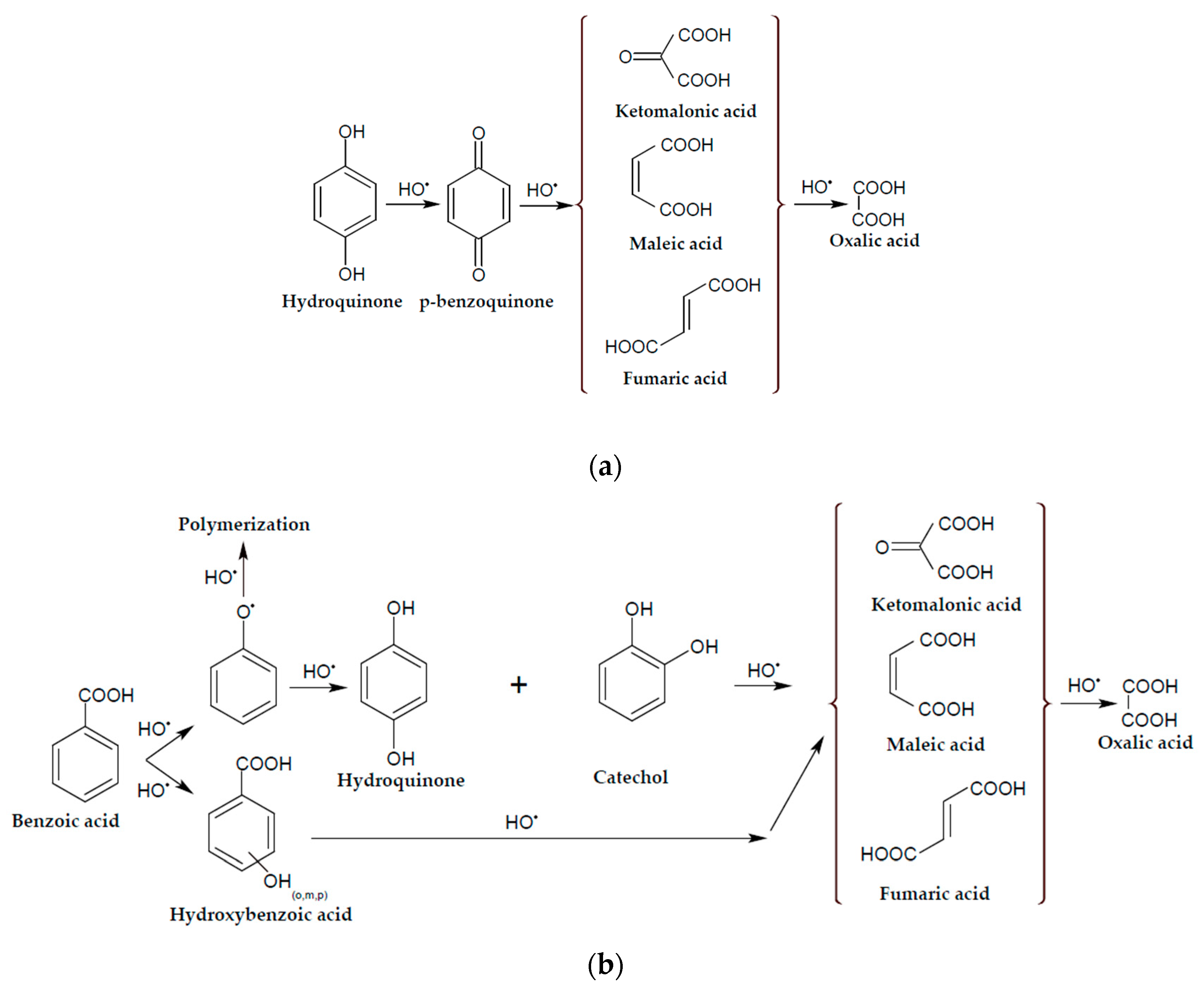 Membranes 13 00521 g001