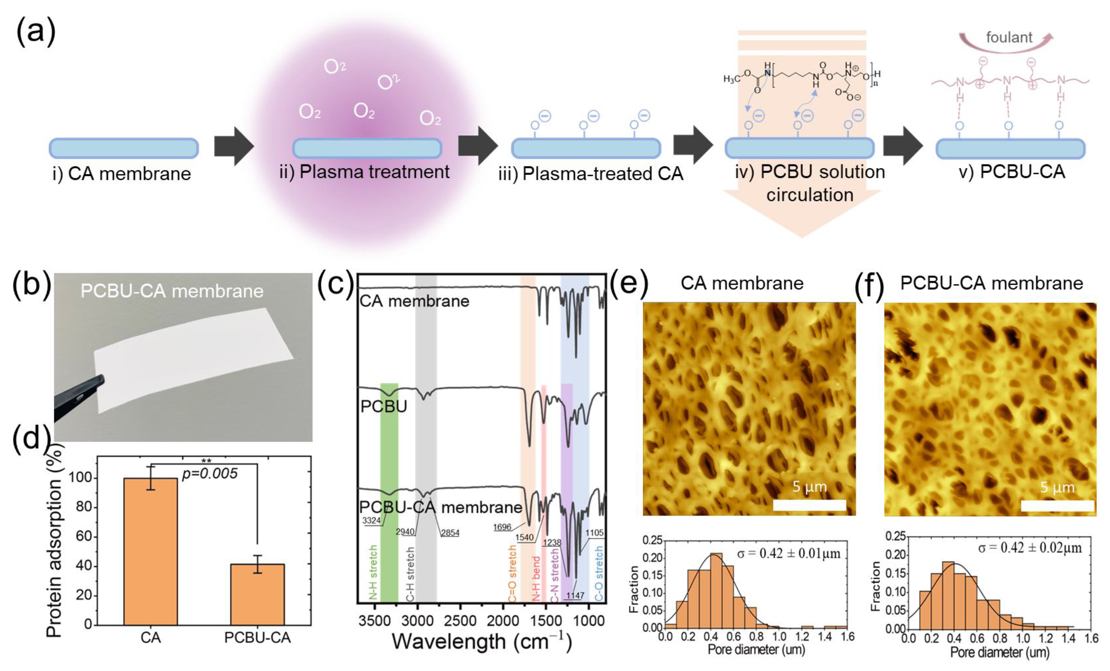 Membranes 13 00524 g001 Membranes 13 00524 g001
