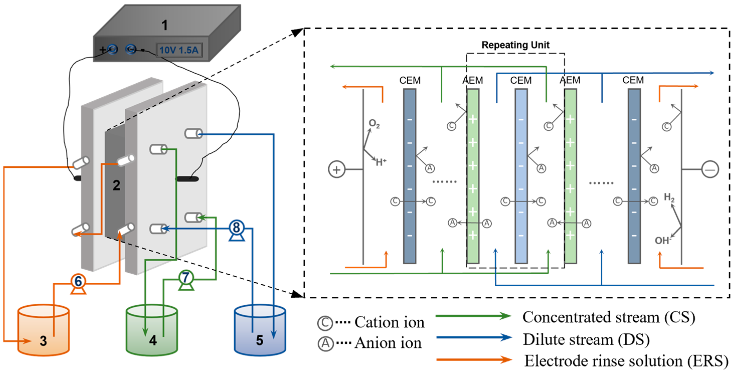 Membranes 13 00527 g001