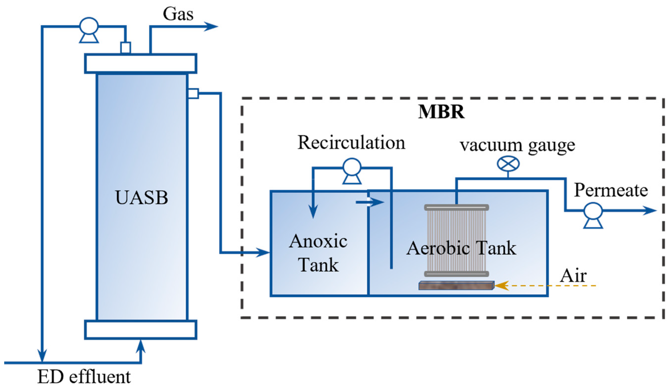 Membranes 13 00527 g002