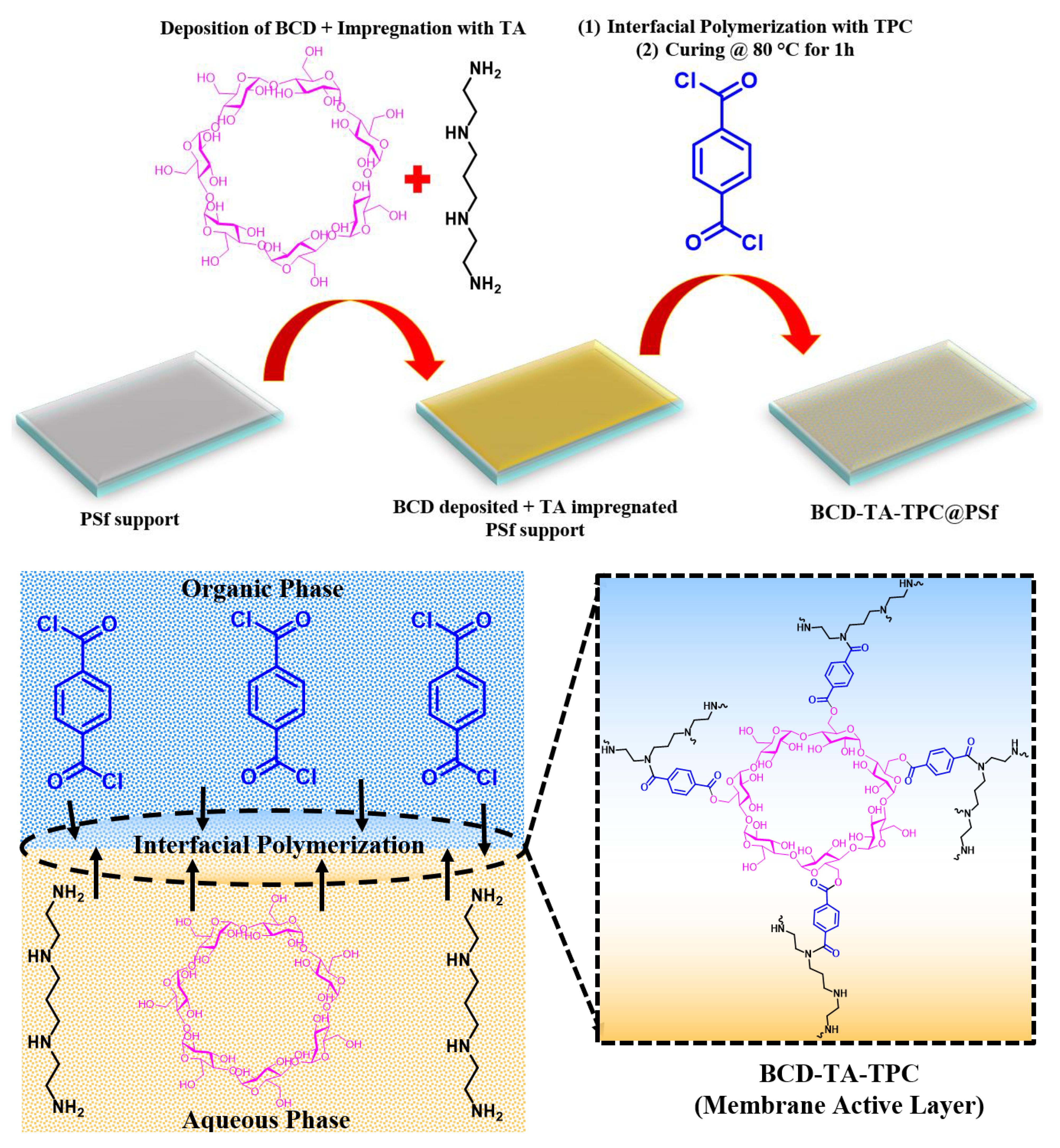 Membranes 13 00528 g001 Membranes 13 00528 g001