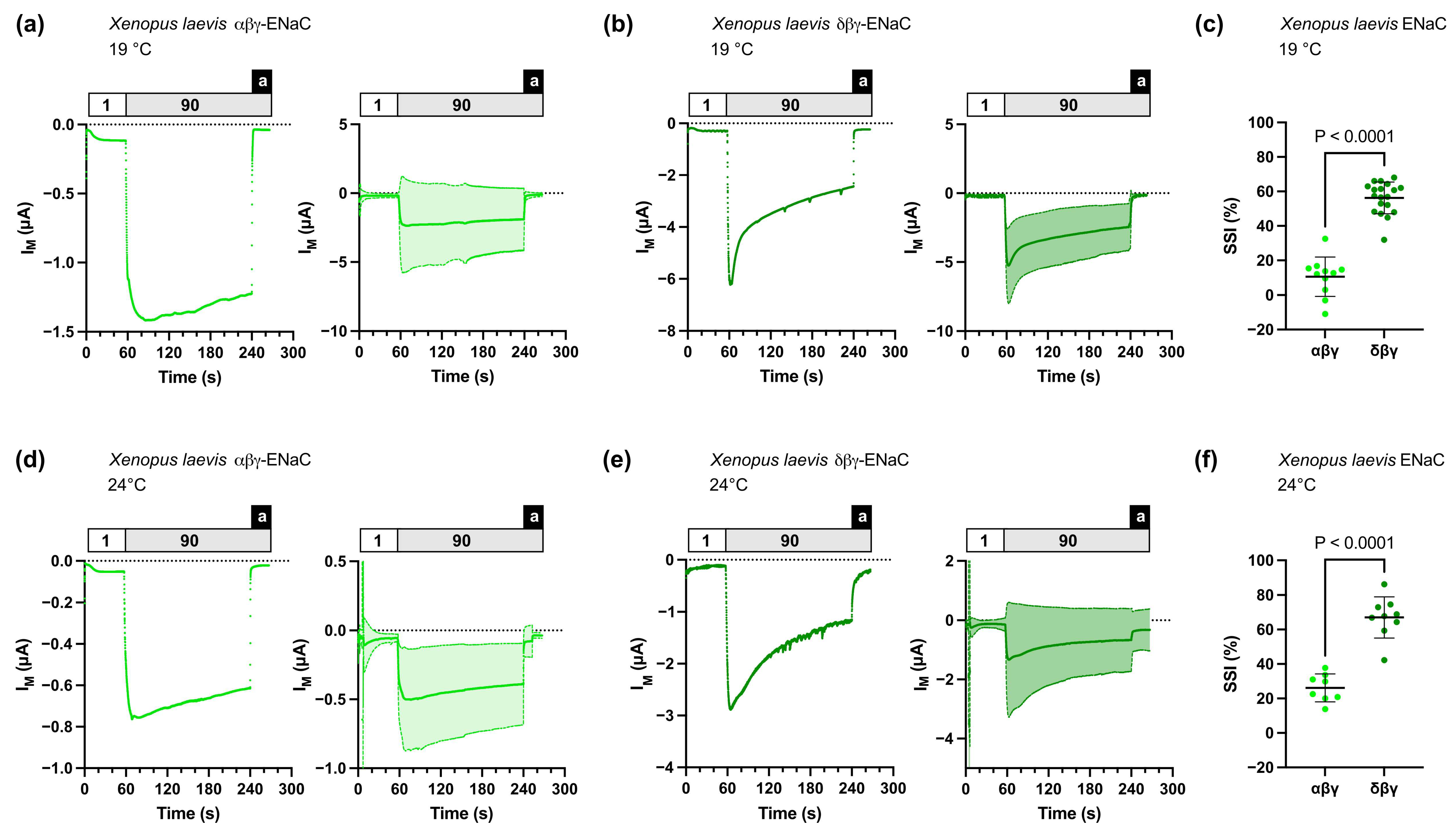 Membranes 13 00529 g002