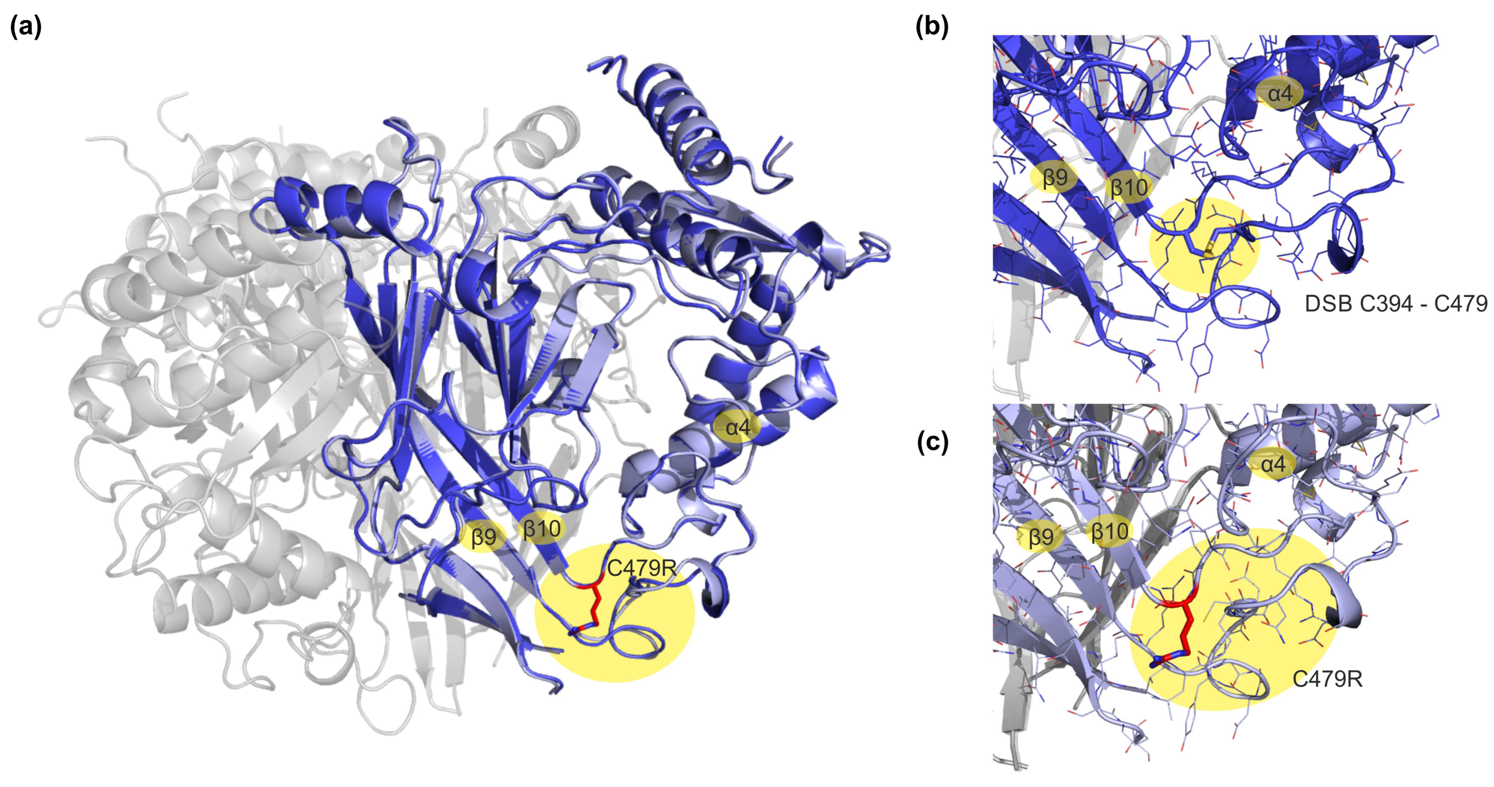Membranes 13 00529 g003