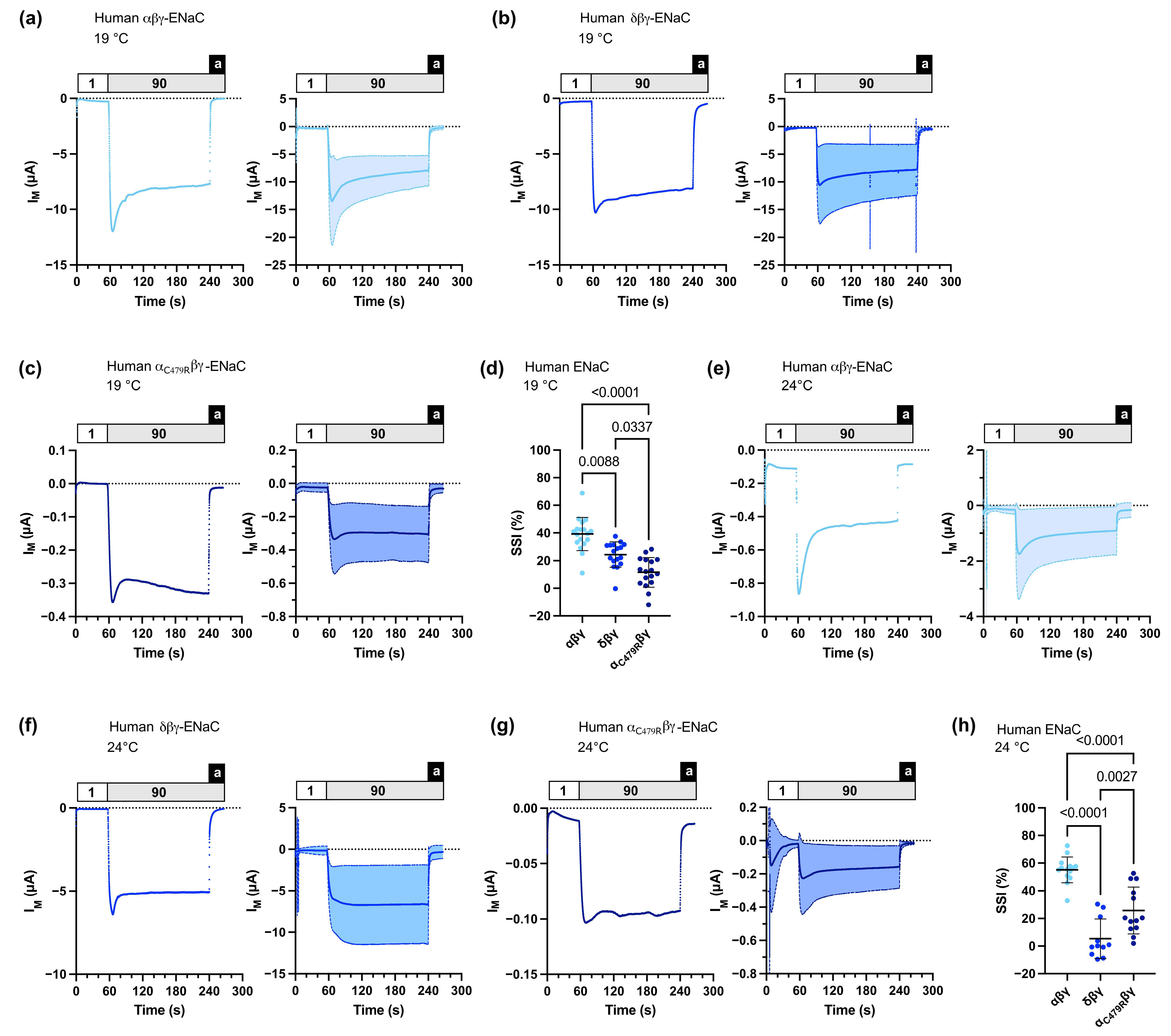 Membranes 13 00529 g004