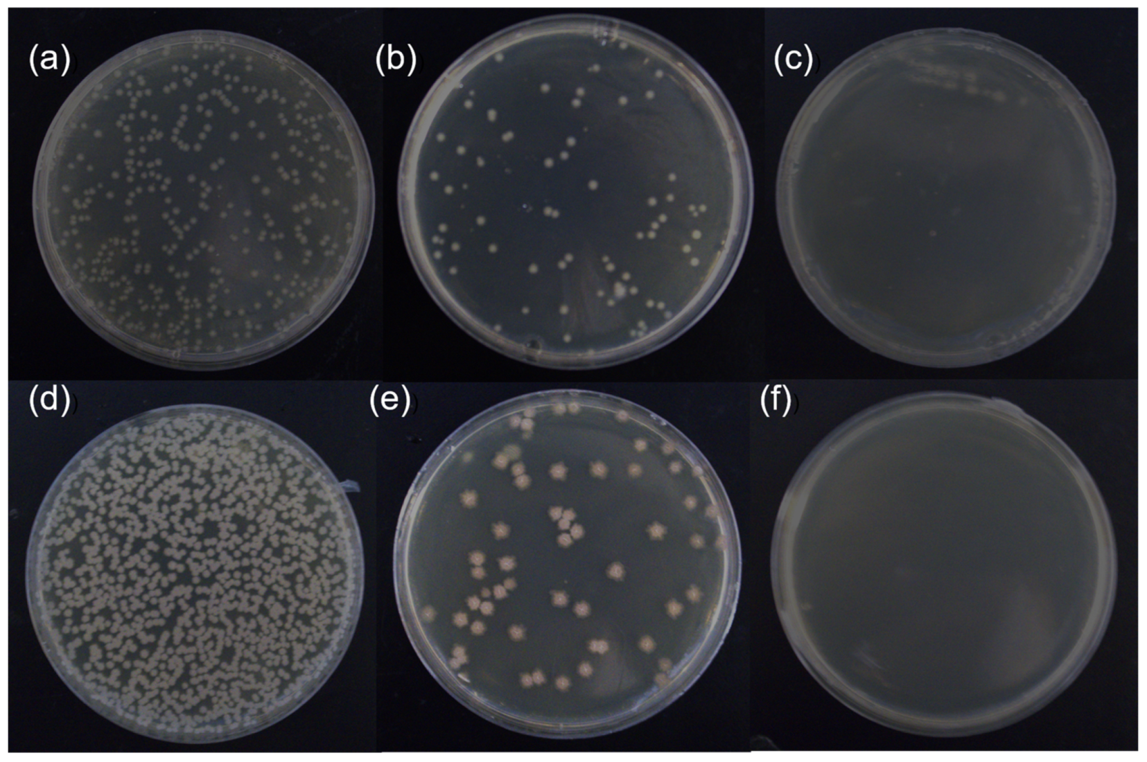 Membranes 13 00530 g006 Membranes 13 00530 g006
