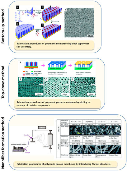 Developing Enzyme Immobilization with Fibrous Membranes