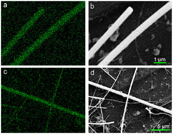 Developing Enzyme Immobilization with Fibrous Membranes Developing Enzyme Immobilization with Fibrous Membranes