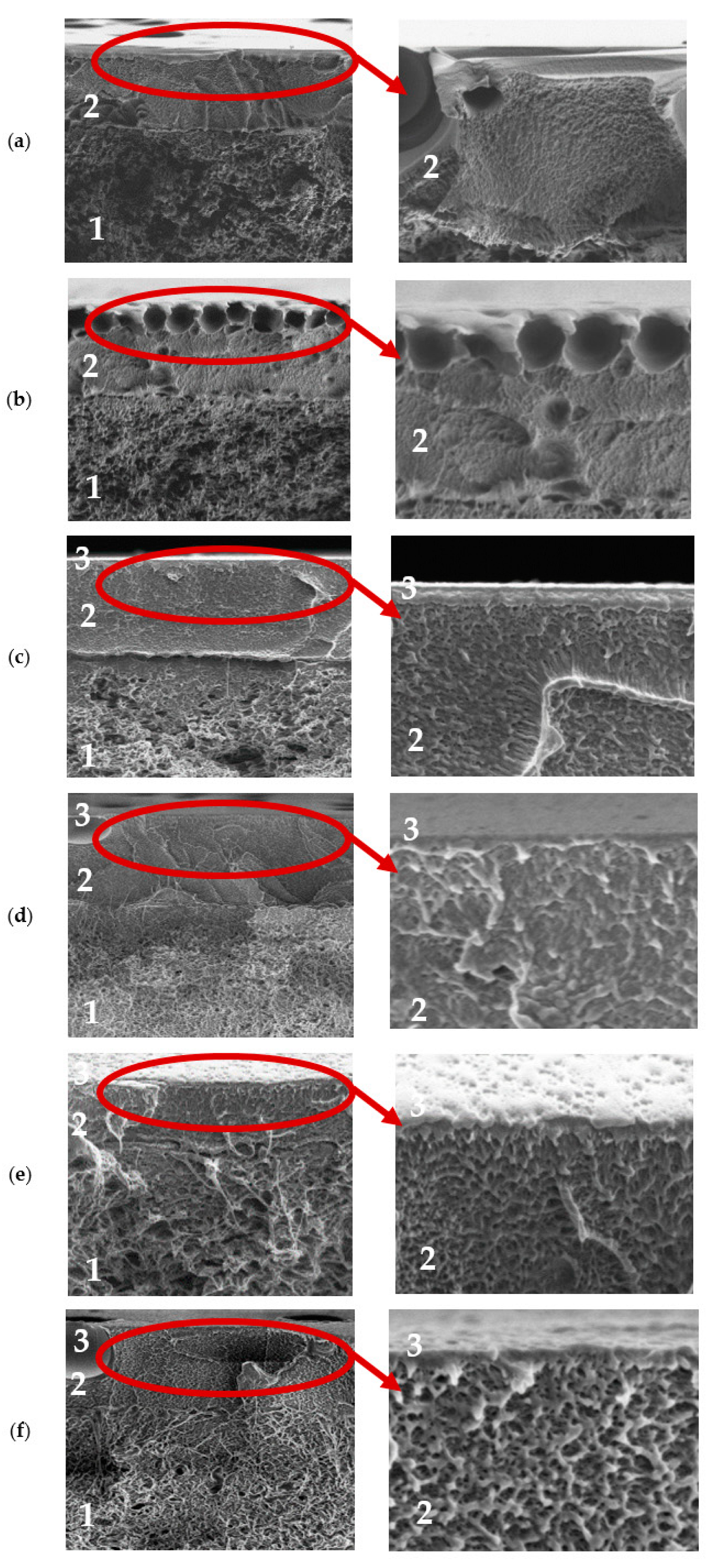 Membranes 13 00534 g007 Membranes 13 00534 g007