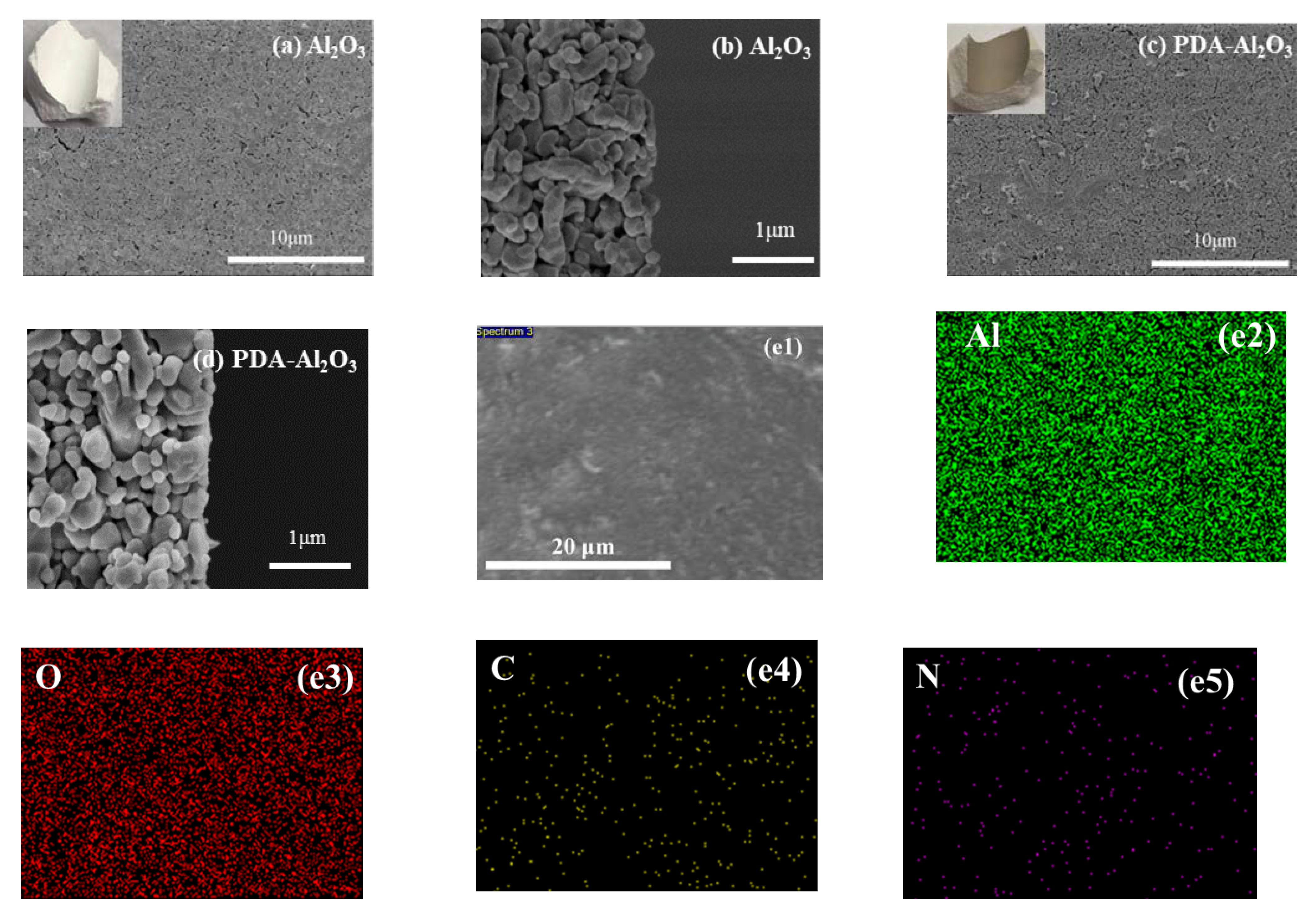 Membranes 13 00536 g003