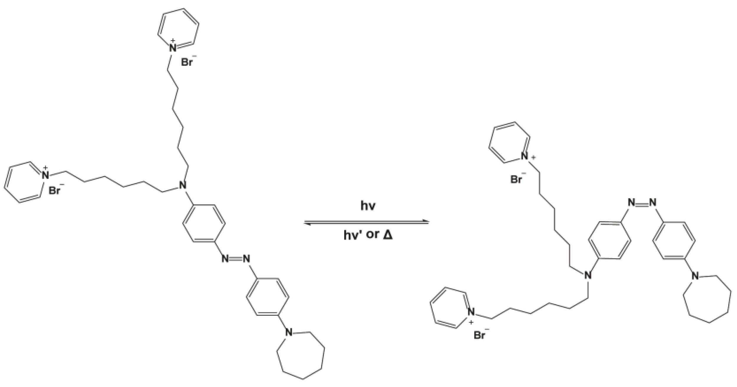 Membranes 13 00538 sch001 Membranes 13 00538 sch001