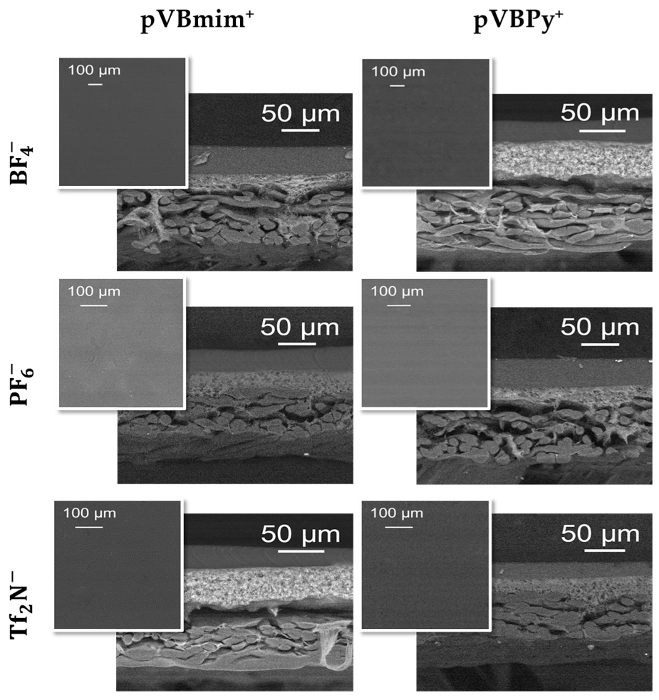 Membranes 13 00539 g006 Membranes 13 00539 g006