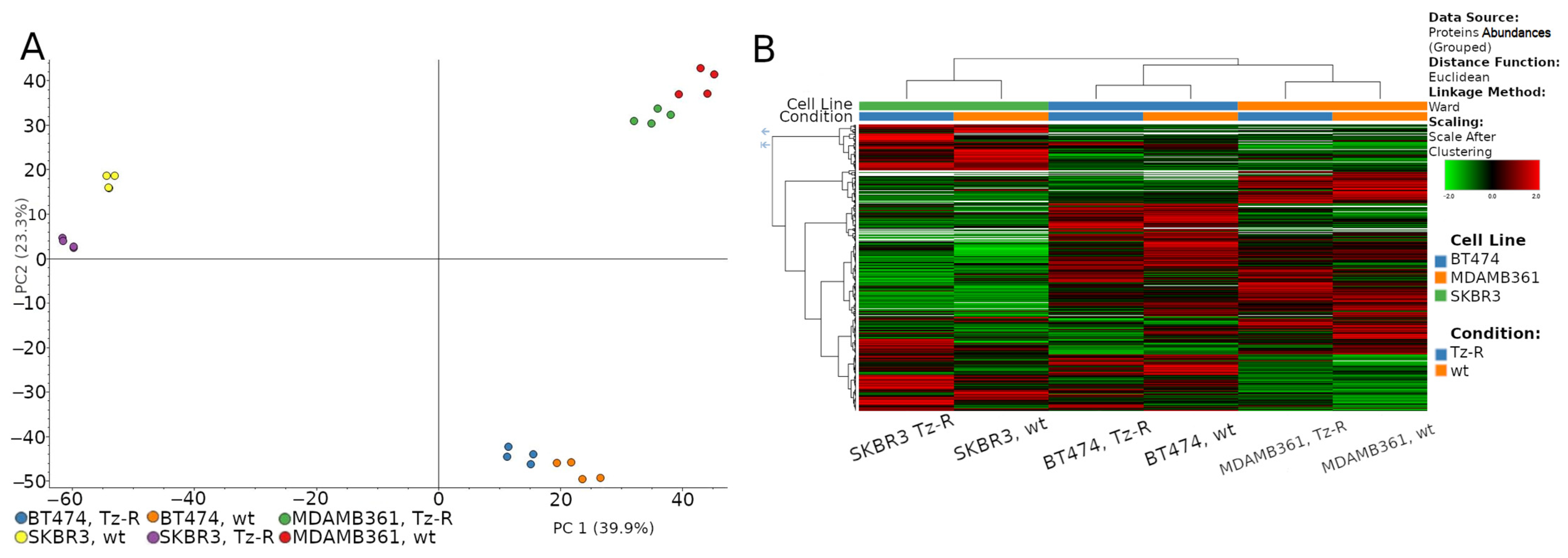 Membranes 13 00540 g005 Membranes 13 00540 g005