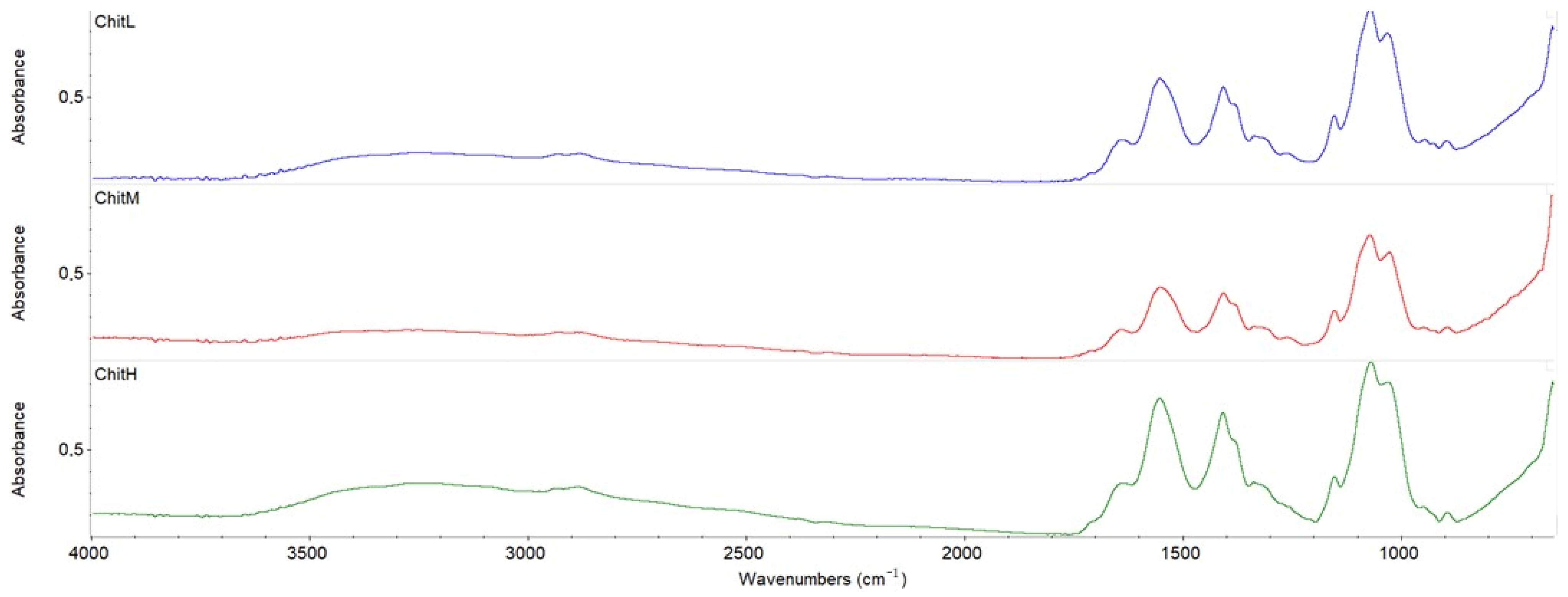 Membranes 13 00542 g003