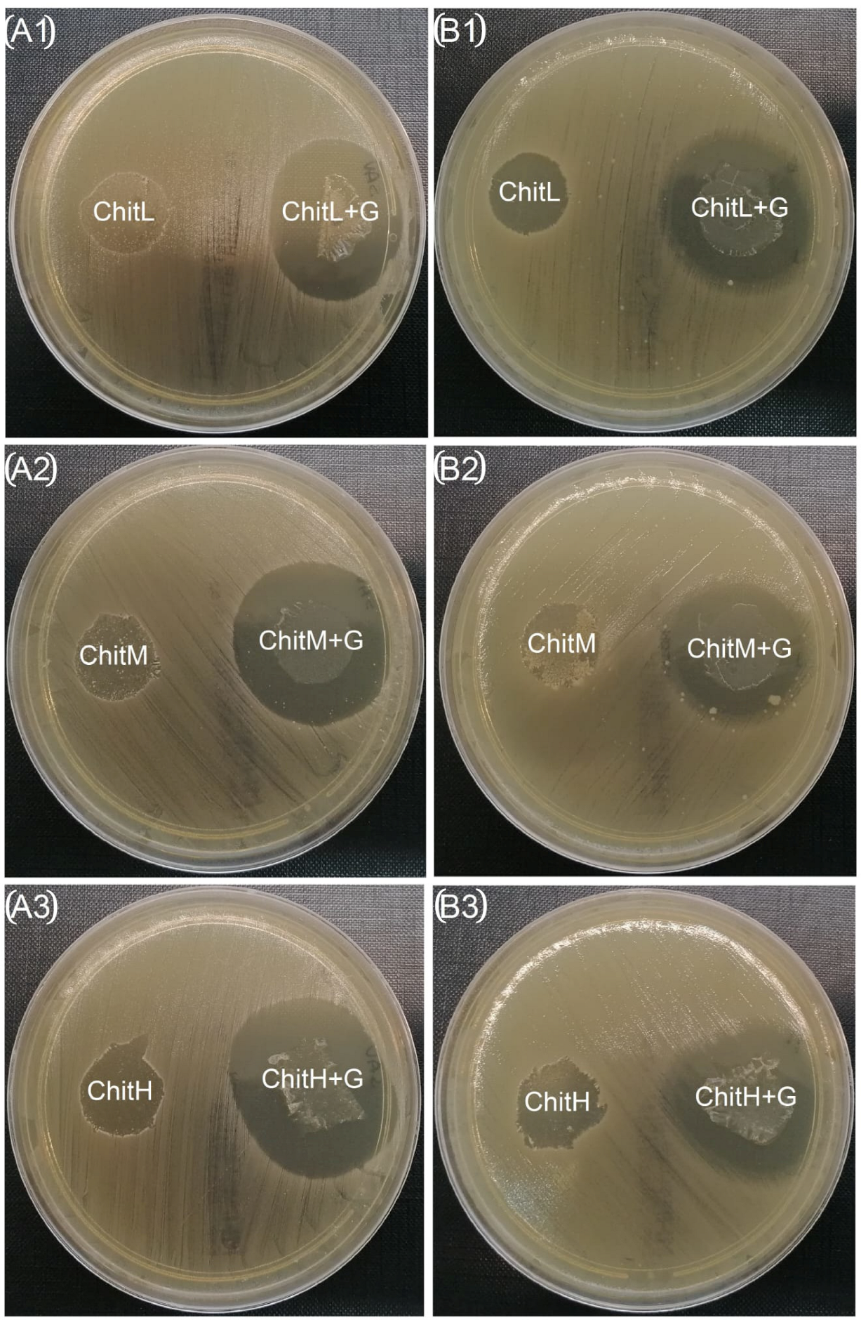 Membranes 13 00542 g008