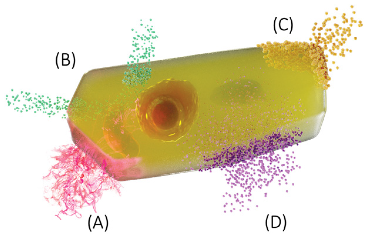 Membranes 13 00547 g001 Membranes 13 00547 g001