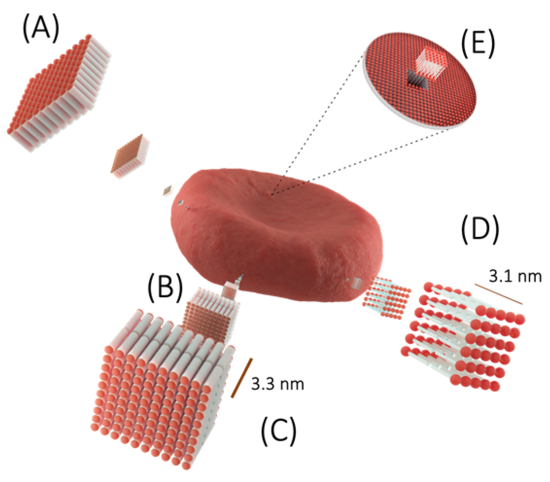 Membranes 13 00547 g002 Membranes 13 00547 g002