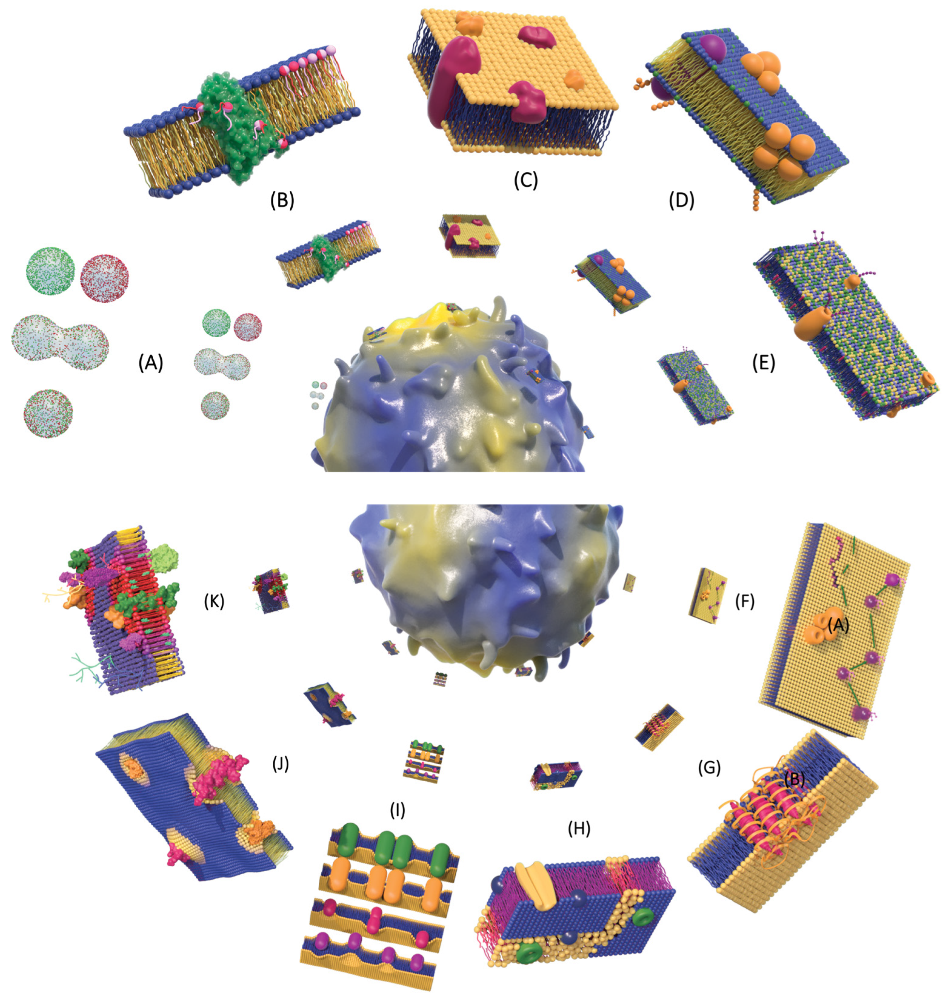 Membranes 13 00547 g004 Membranes 13 00547 g004