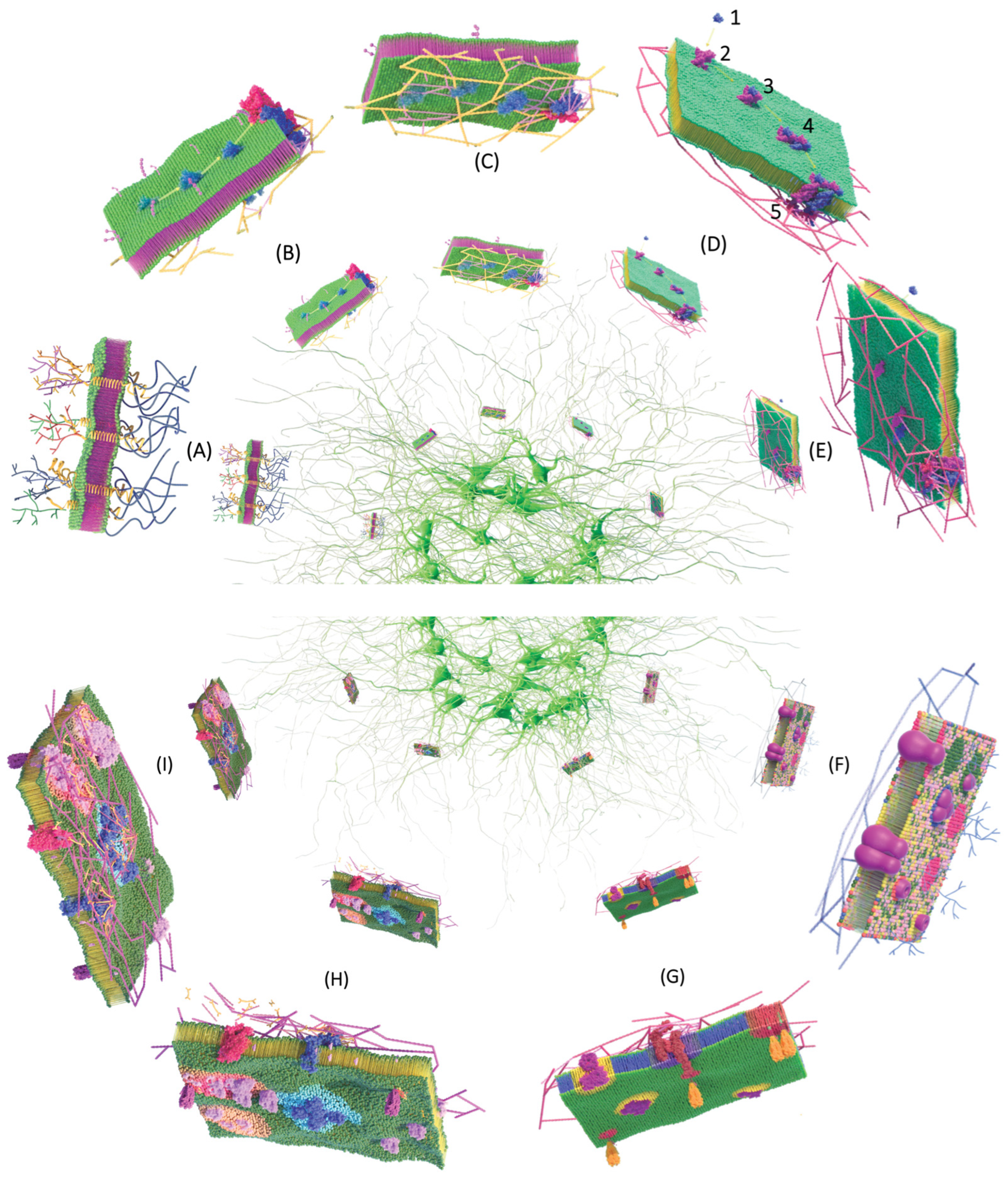 Membranes 13 00547 g005 Membranes 13 00547 g005
