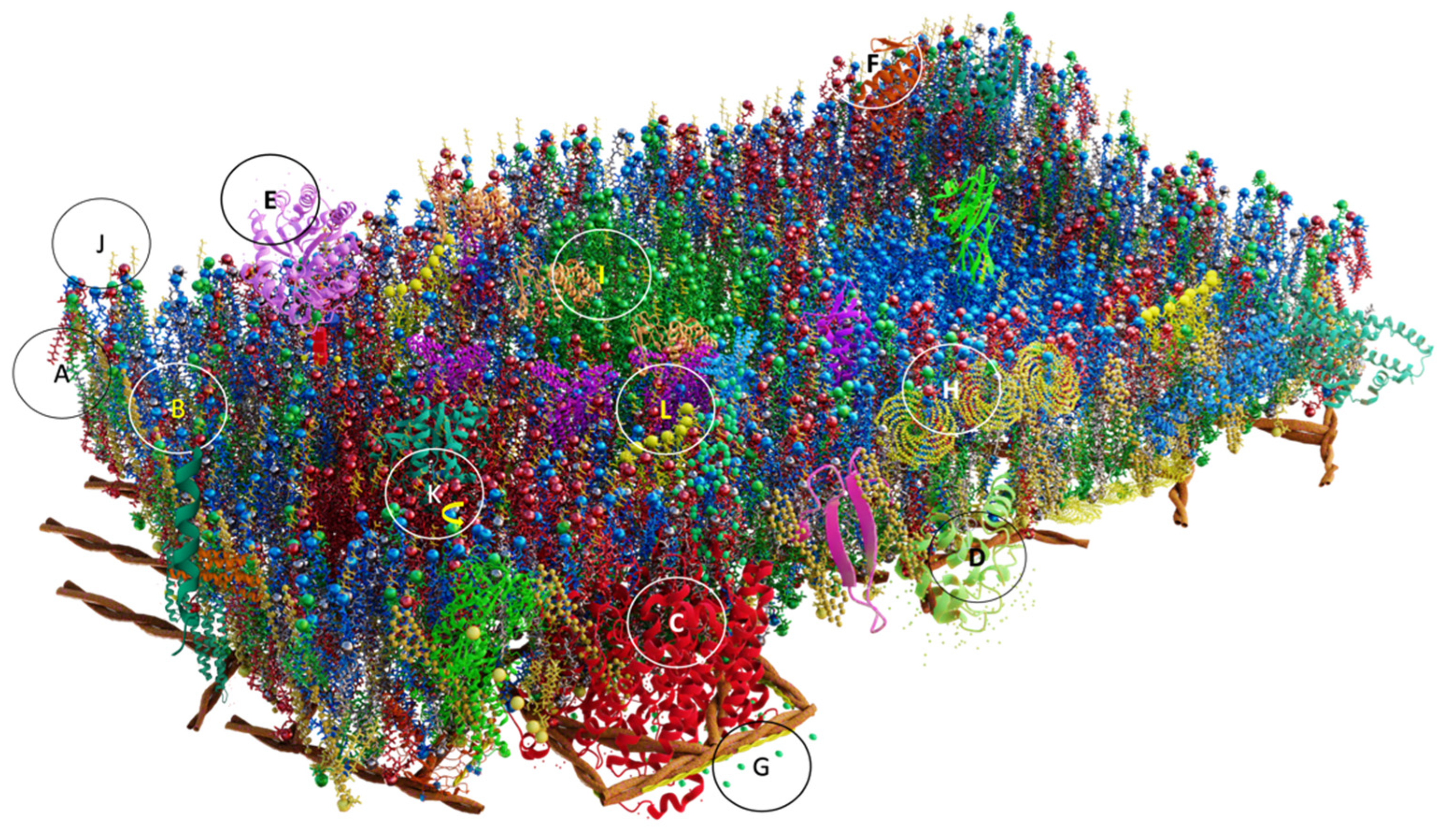 Membranes 13 00547 g006 Membranes 13 00547 g006