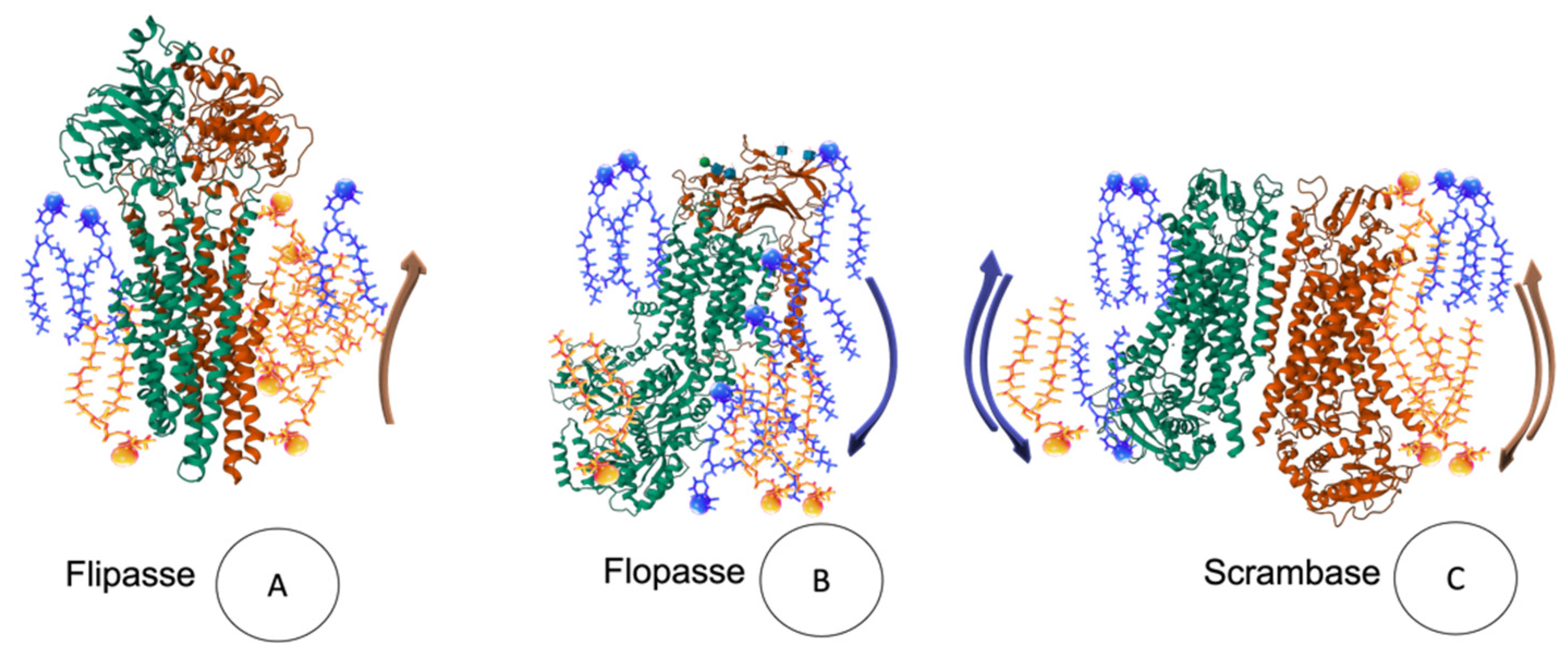 Membranes 13 00547 g007 Membranes 13 00547 g007
