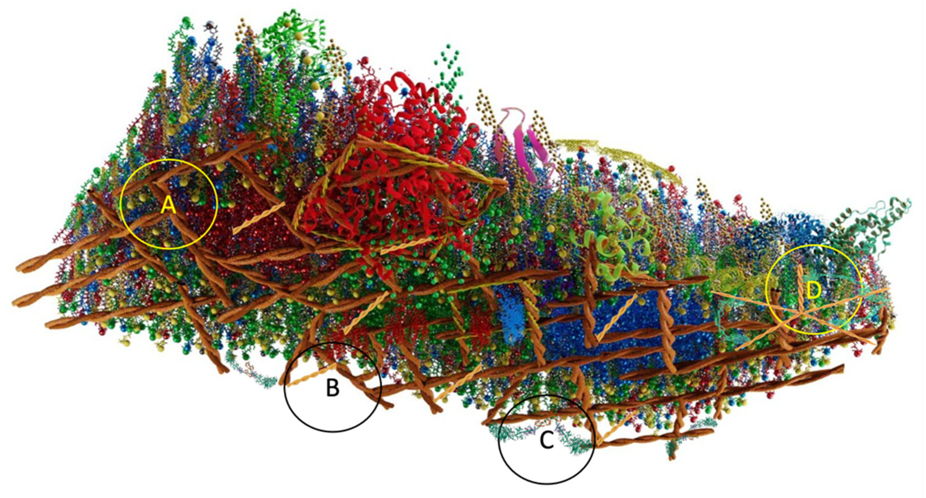 Membranes 13 00547 g008 Membranes 13 00547 g008