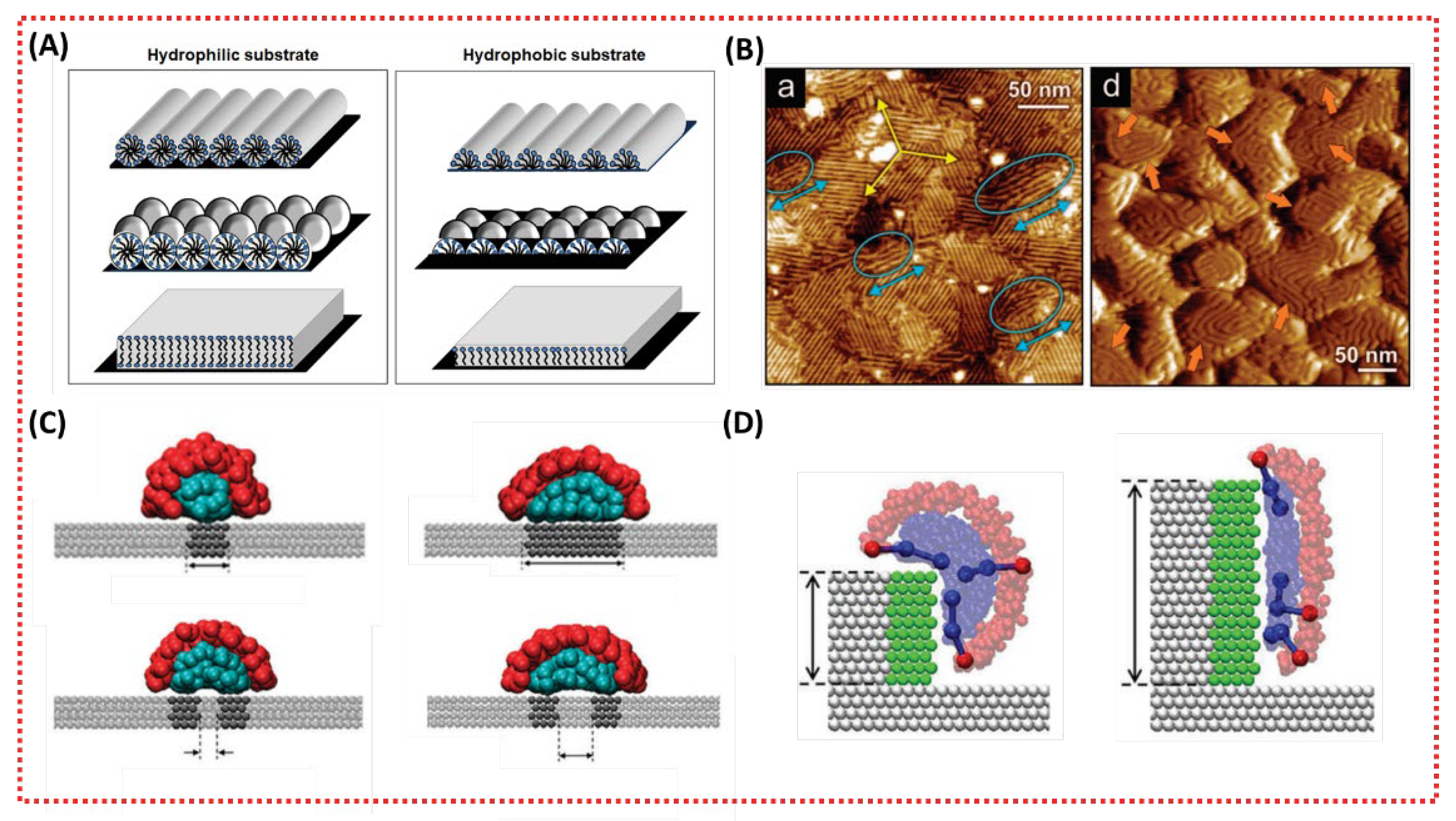 Membranes 13 00549 g004 Membranes 13 00549 g004