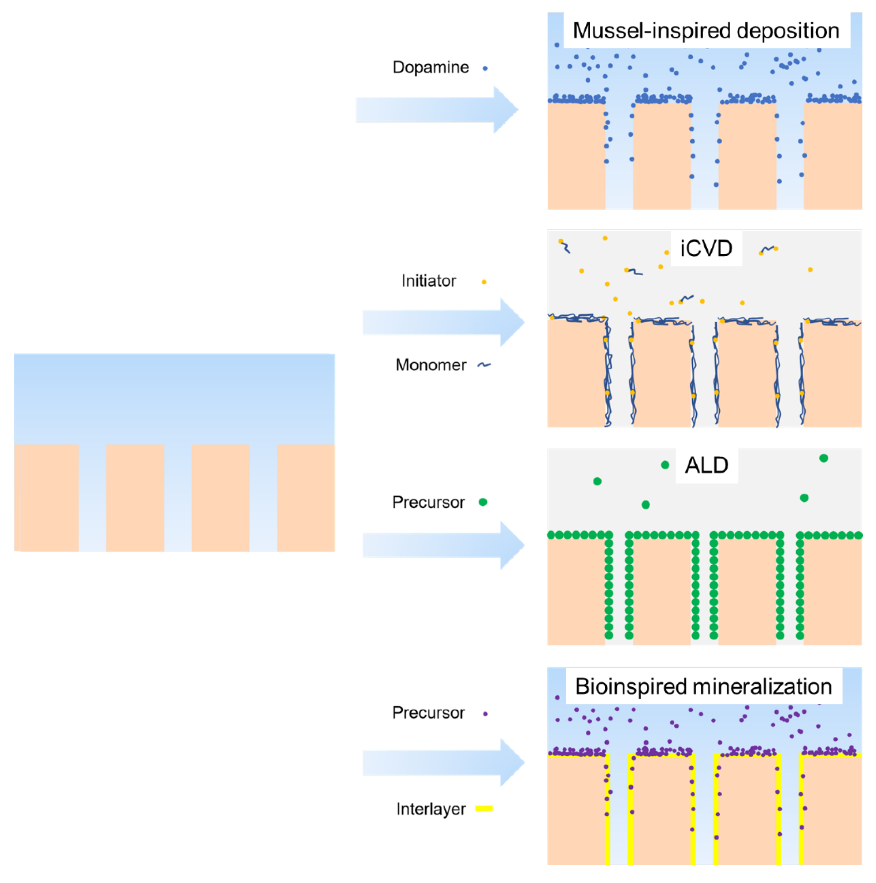Membranes 13 00549 g005 Membranes 13 00549 g005