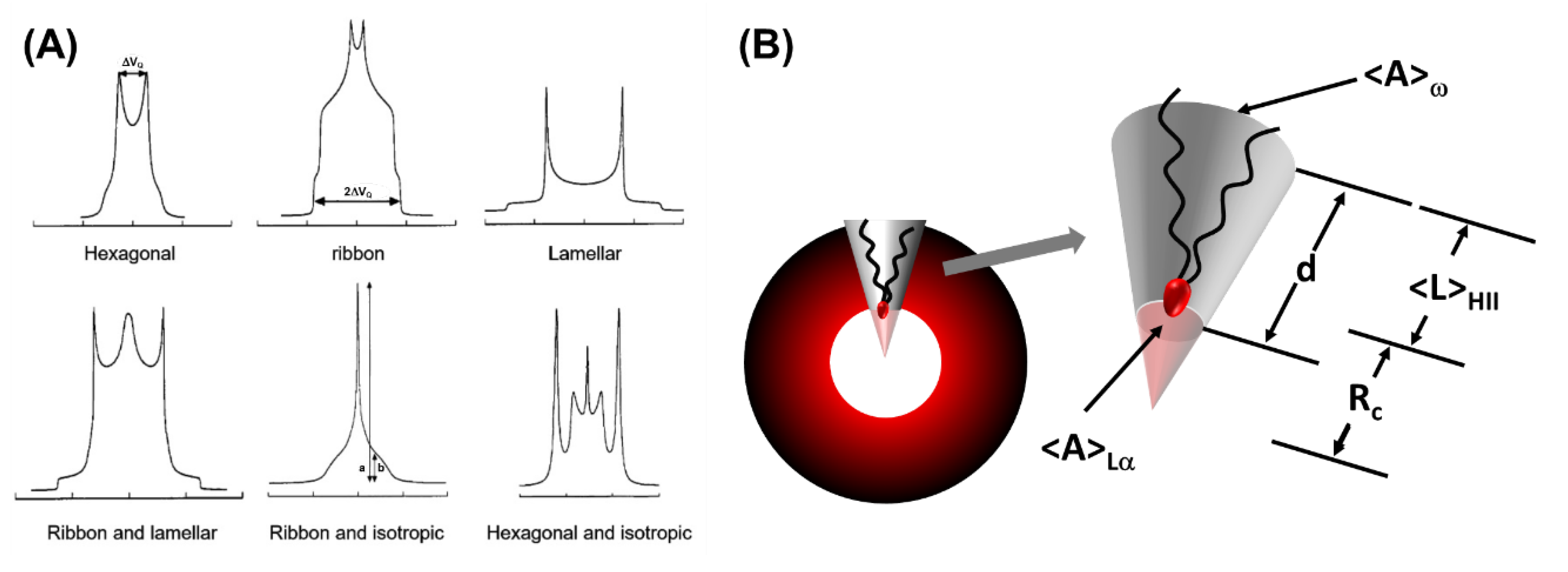 Membranes 13 00549 g015 Membranes 13 00549 g015