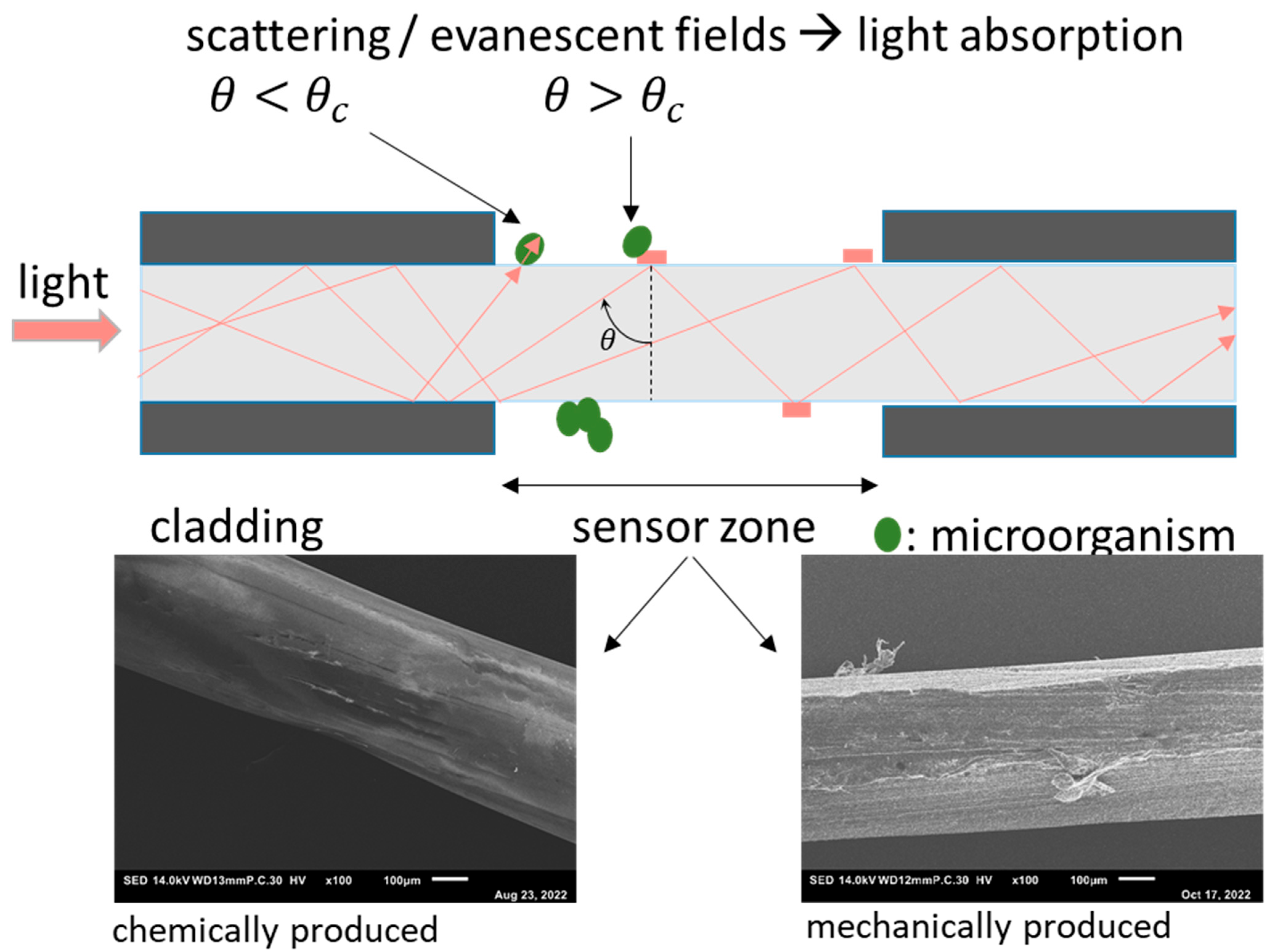 Membranes 13 00553 g002 Membranes 13 00553 g002