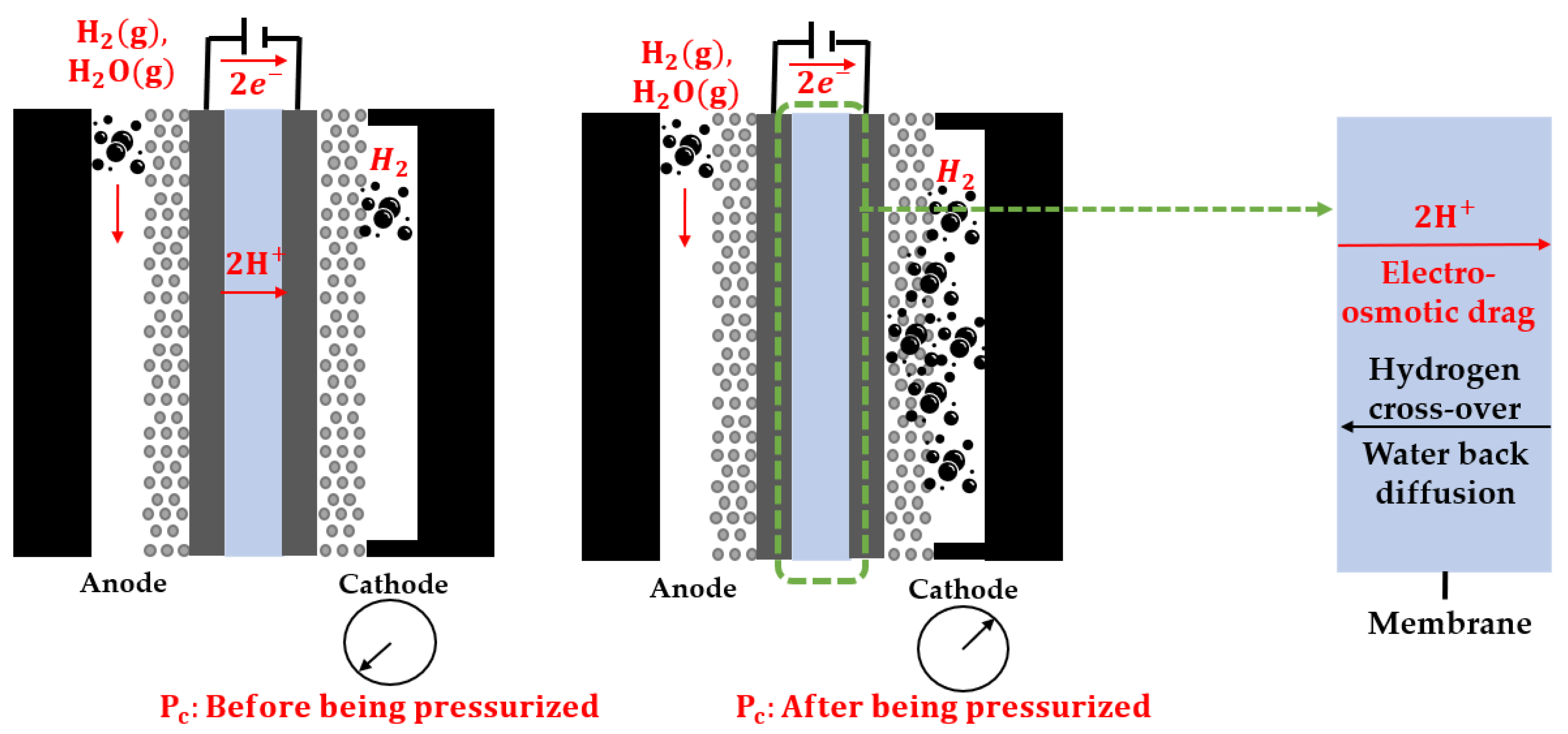 Membranes 13 00555 g001 Membranes 13 00555 g001