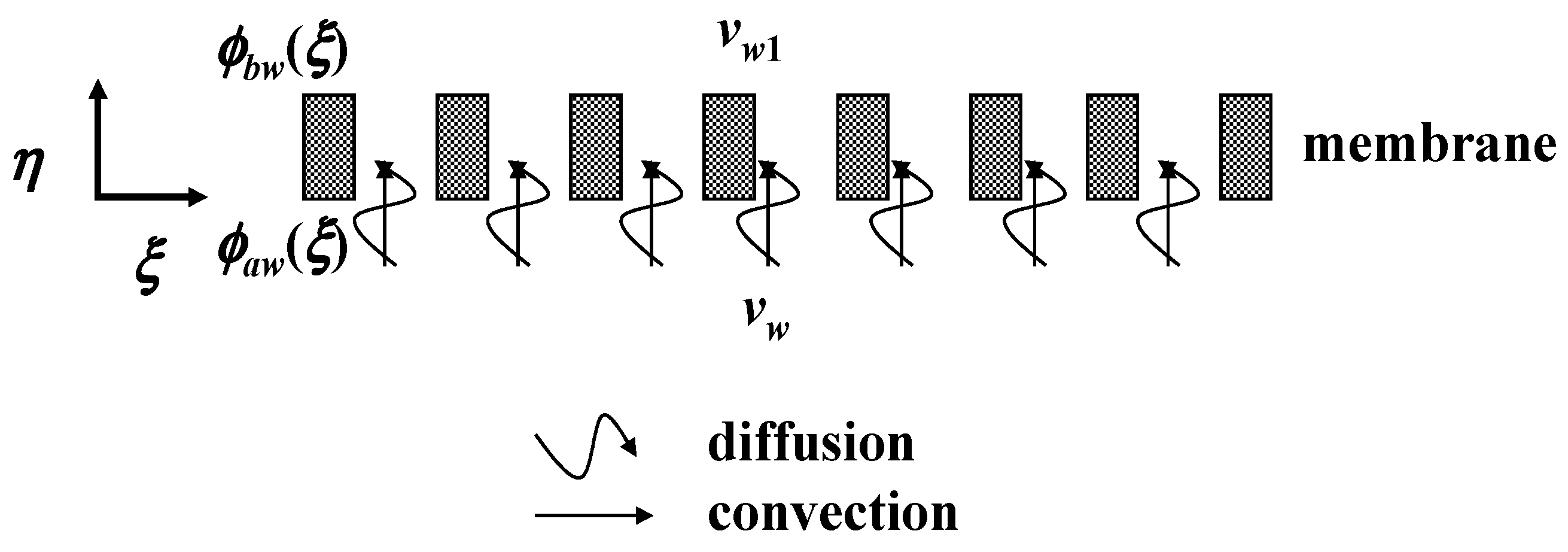 Membranes 13 00556 g002 Membranes 13 00556 g002