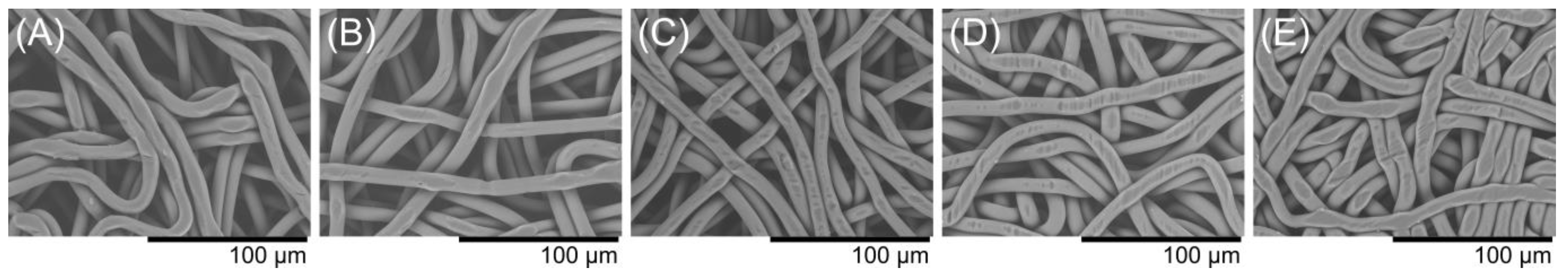 Membranes 13 00560 g008