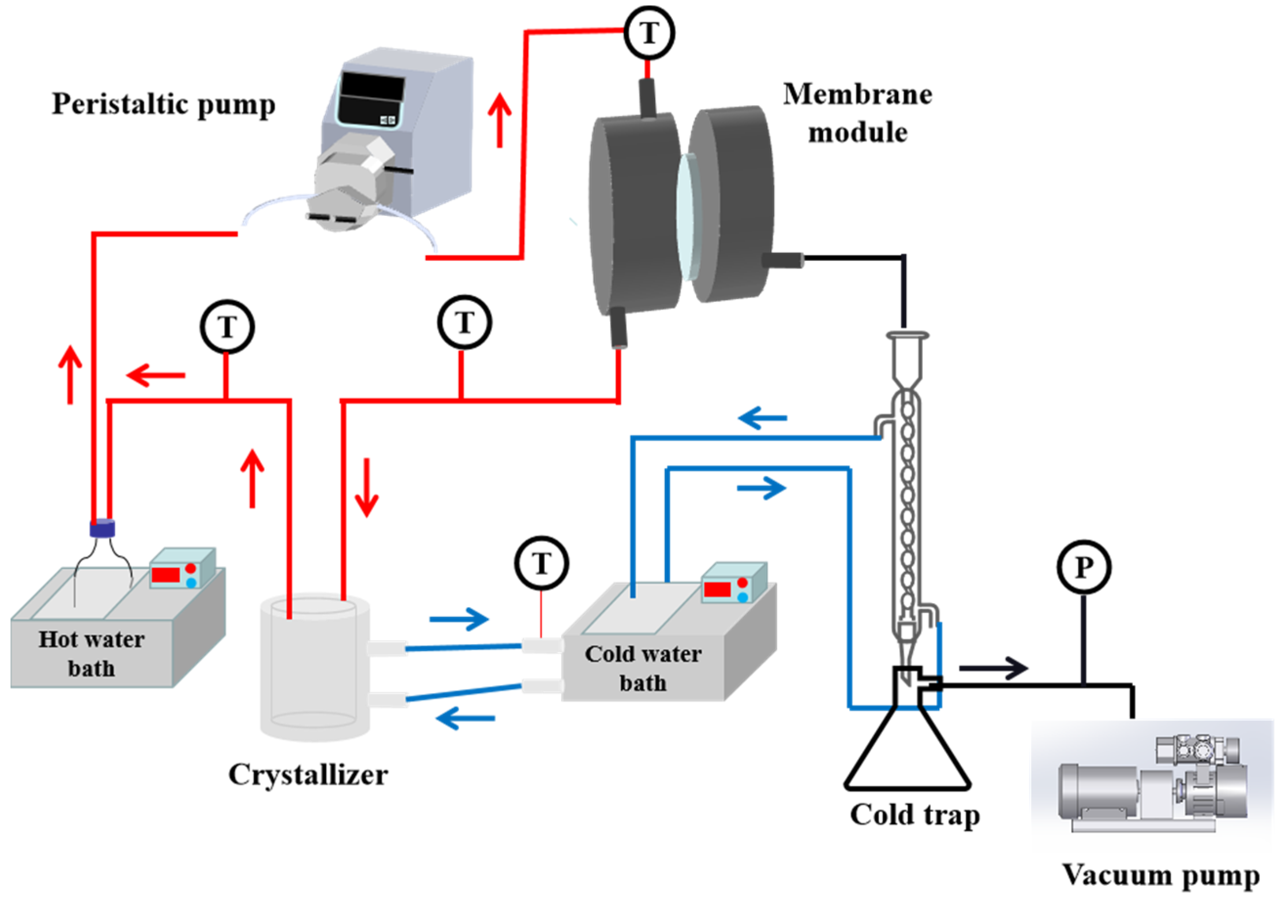 Membranes 13 00561 g001 Membranes 13 00561 g001
