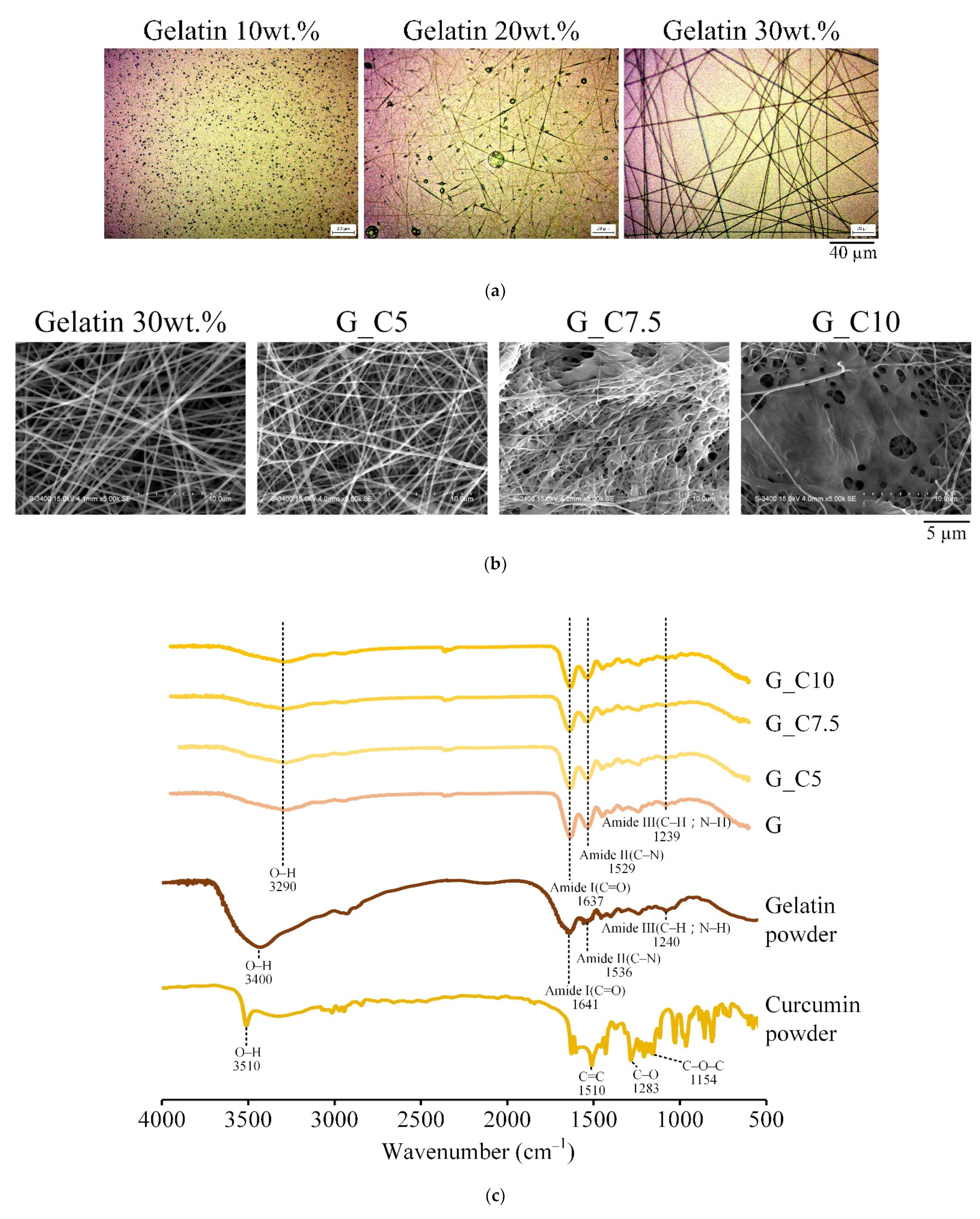 Membranes 13 00564 g001 Membranes 13 00564 g001